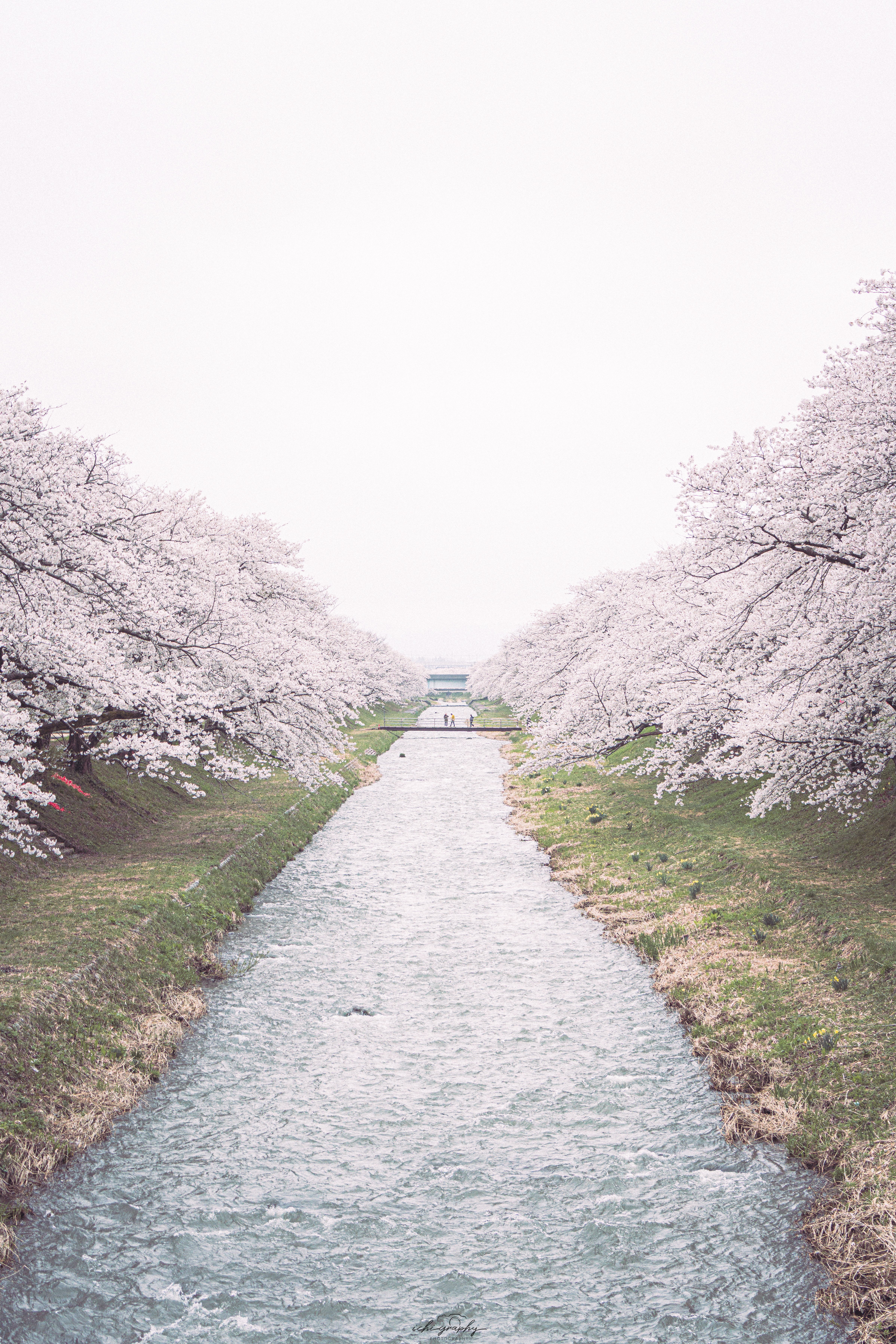 風景写真にはこれが最強レンズ】TAMRON 28-200mm📸ズームレンズ