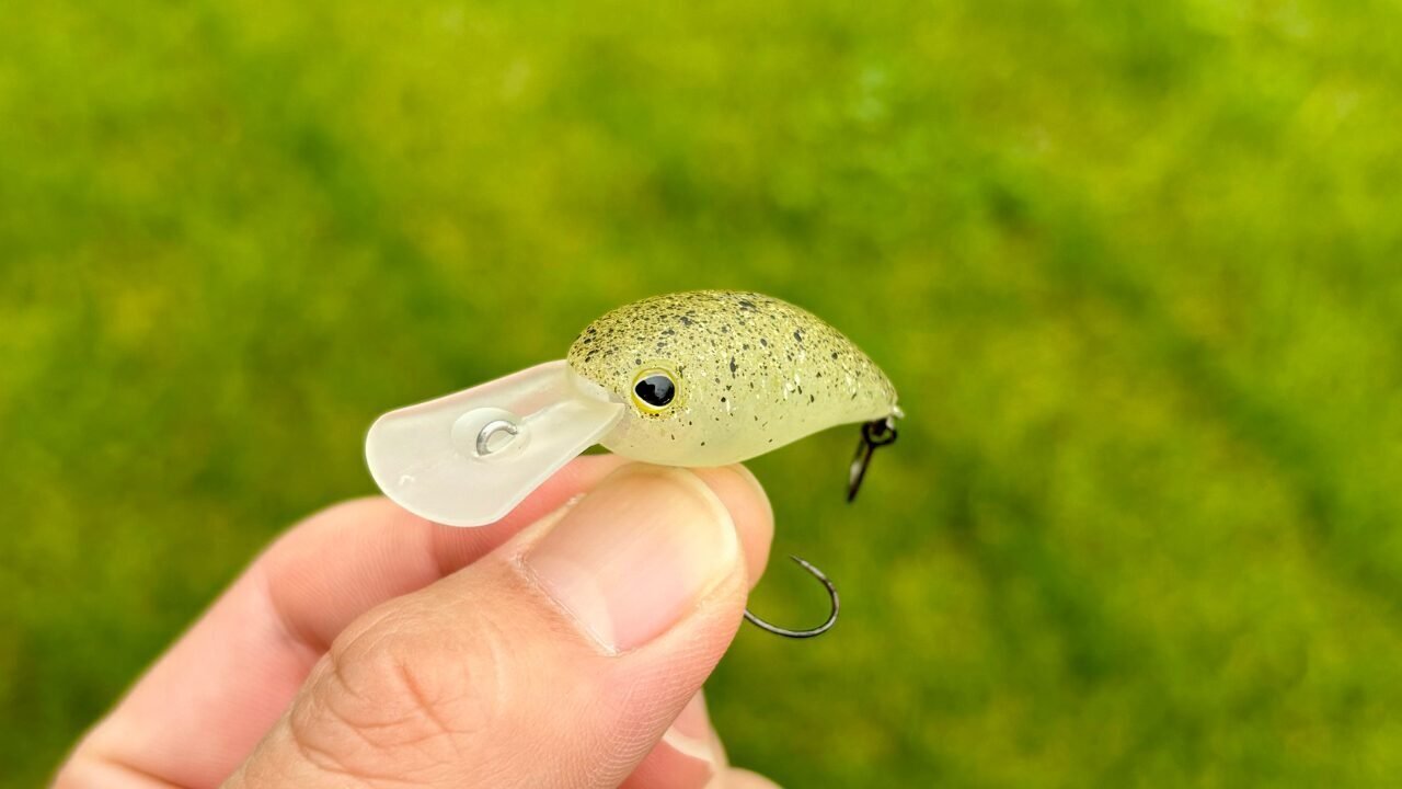 管釣り】パ二クラMRおすすめカラー3選：グロー系カラーはかなり釣れる