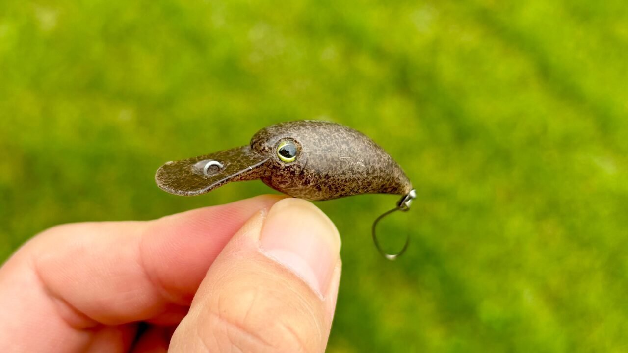 ザッカ、パニクラ 良く釣れる厳選カラー パニクラの使い方 - TIMON 鱒