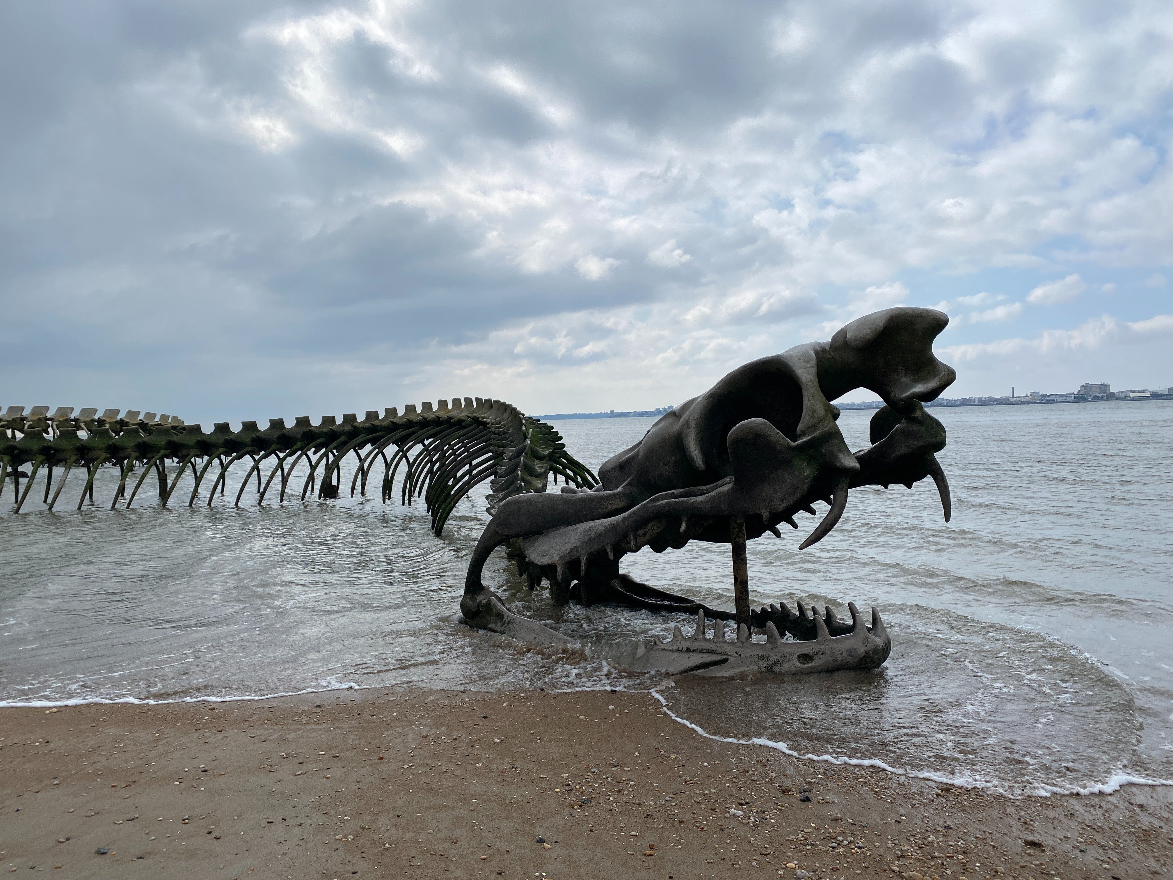 輪蛇 荒くれKNIGHT リメンバー・トゥモロー 5 (5) (ヤングチャンピオン