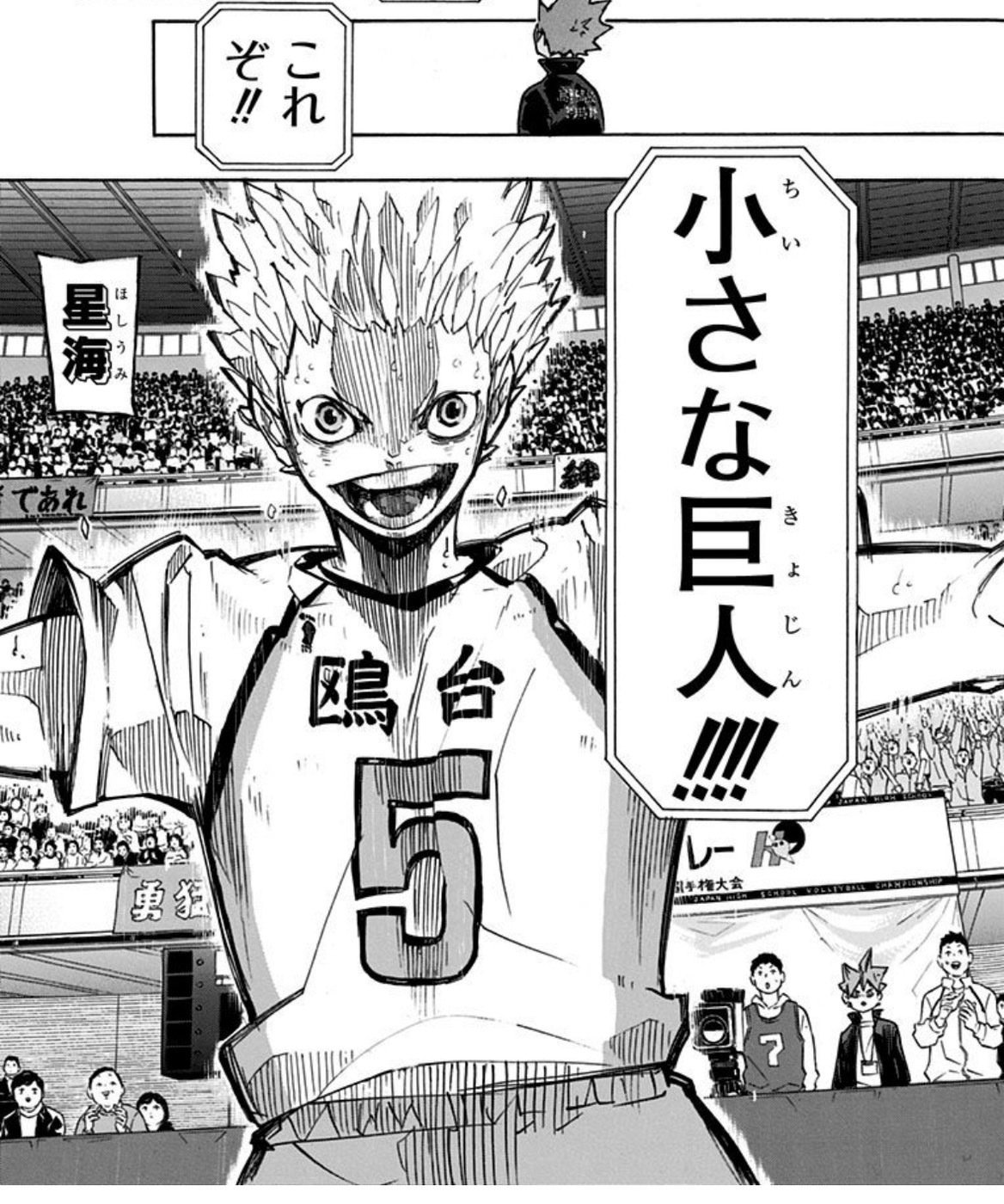ハイキュー!! 引退まとめ 赤葦京治 クリアファイル Ver.2.0 [ハイキュー!! TO THE TOP