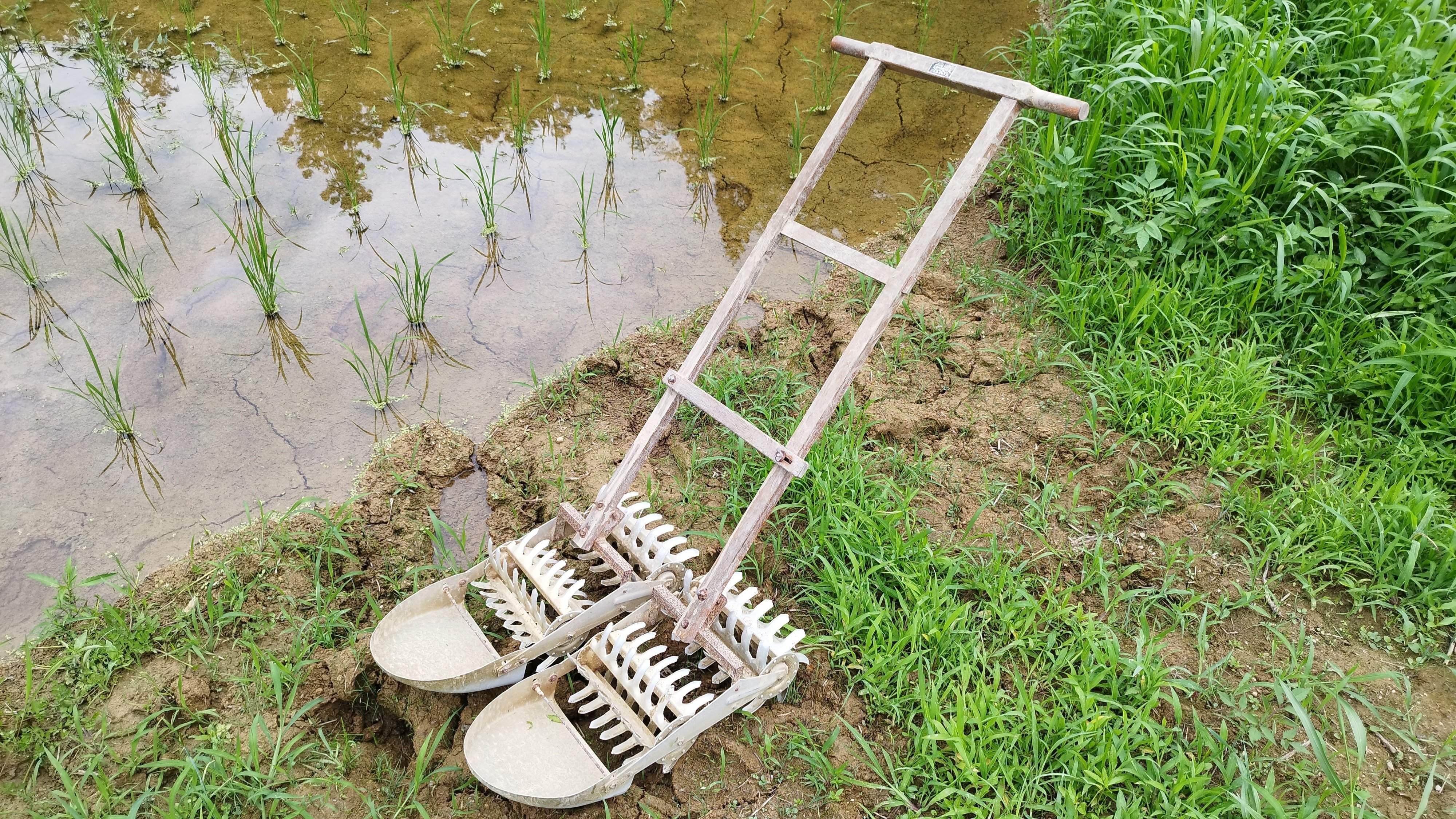 田車｜嵯峨 生馬