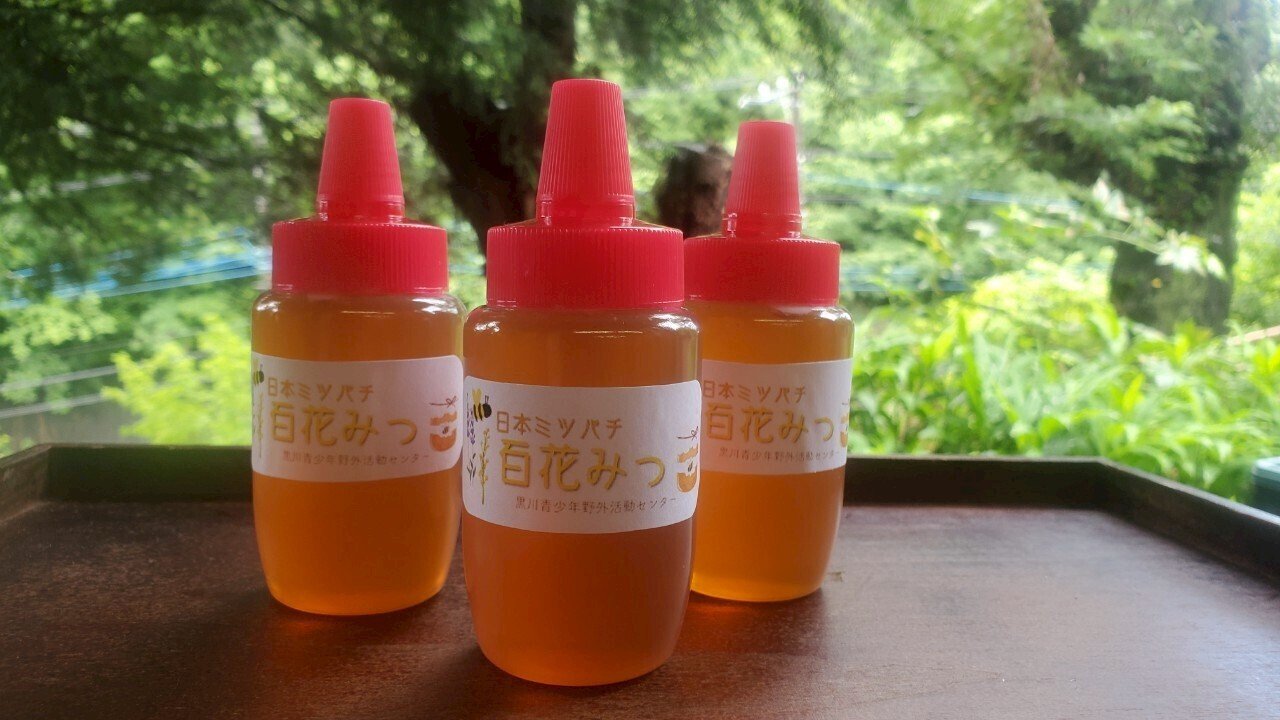 日本ミツバチの　天然百花黒ハチミツ　1200ｇ　R6年9月採蜜　糖度80 日本ミツバチの 天然百花黒ハチミツ 1200g R6年9月採蜜 糖度80