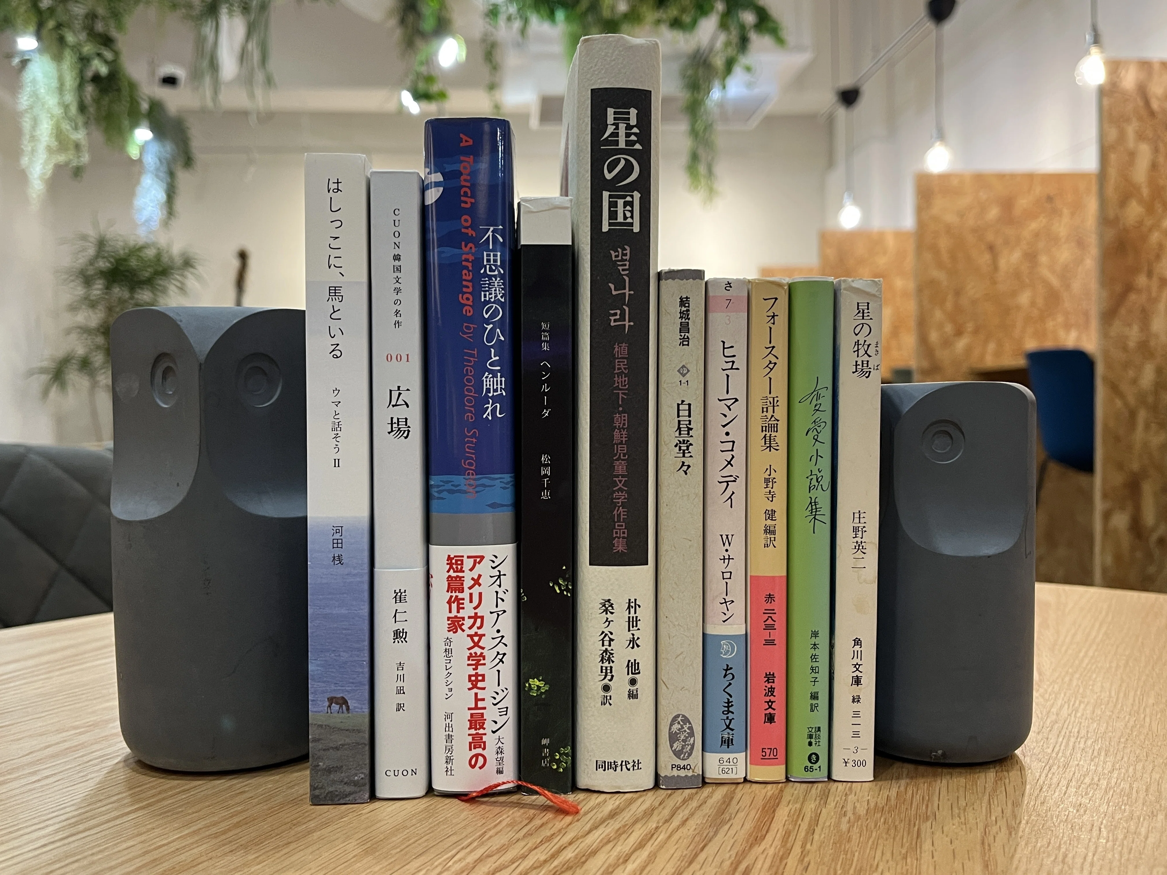 2025年6月の沈思黙読会｜転石堂書店