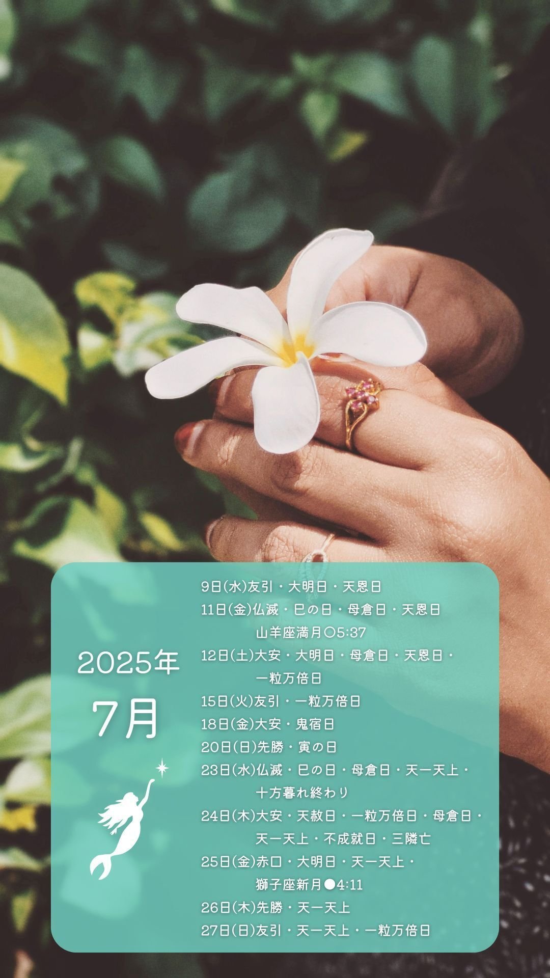 2025年！！金運向上↗︎↗︎↗︎ Amazon.co.jp: トーダン 2025年 壁掛け 金運カレンダー 35.7 x