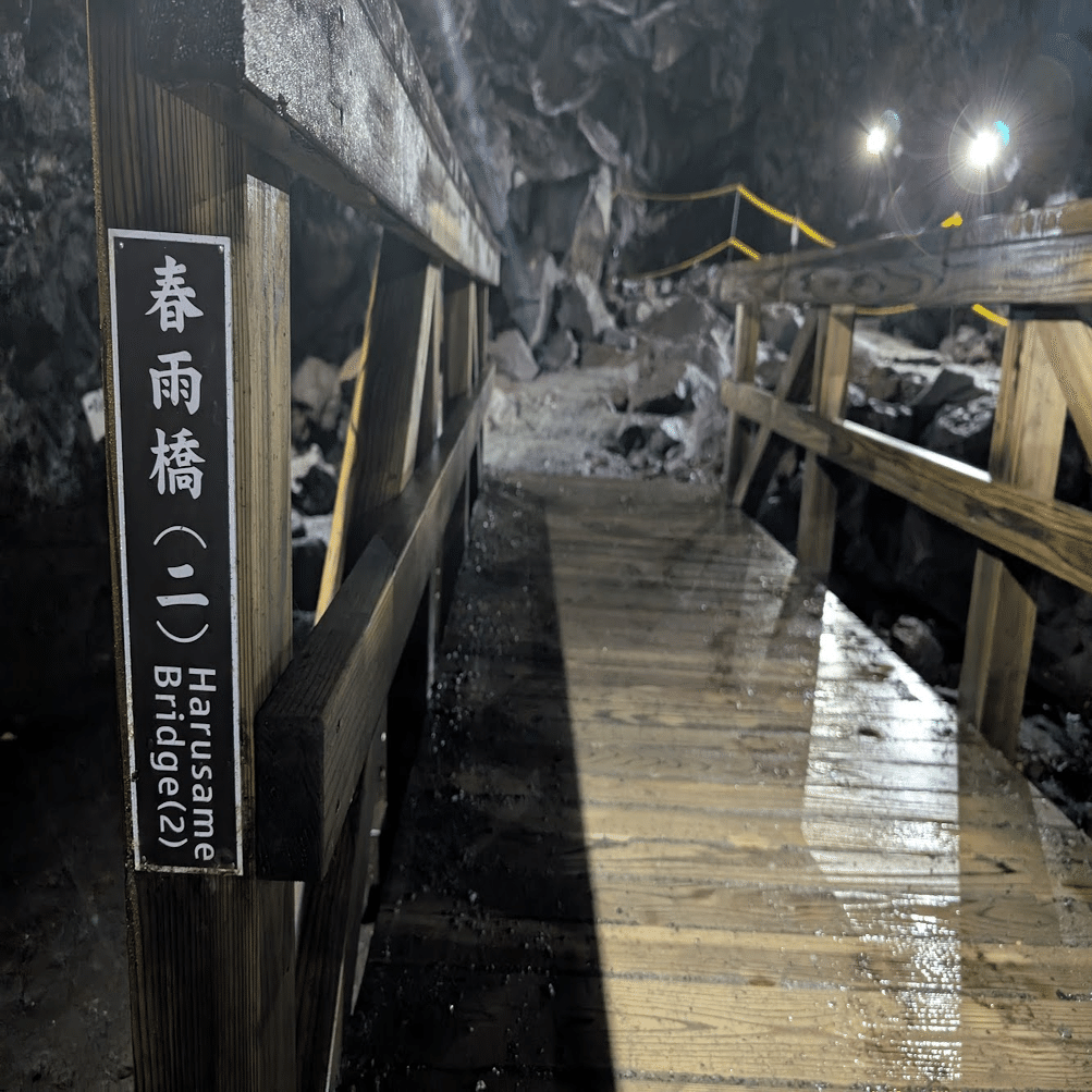 なぁ君、洞窟を享受せよ。｜カセダ