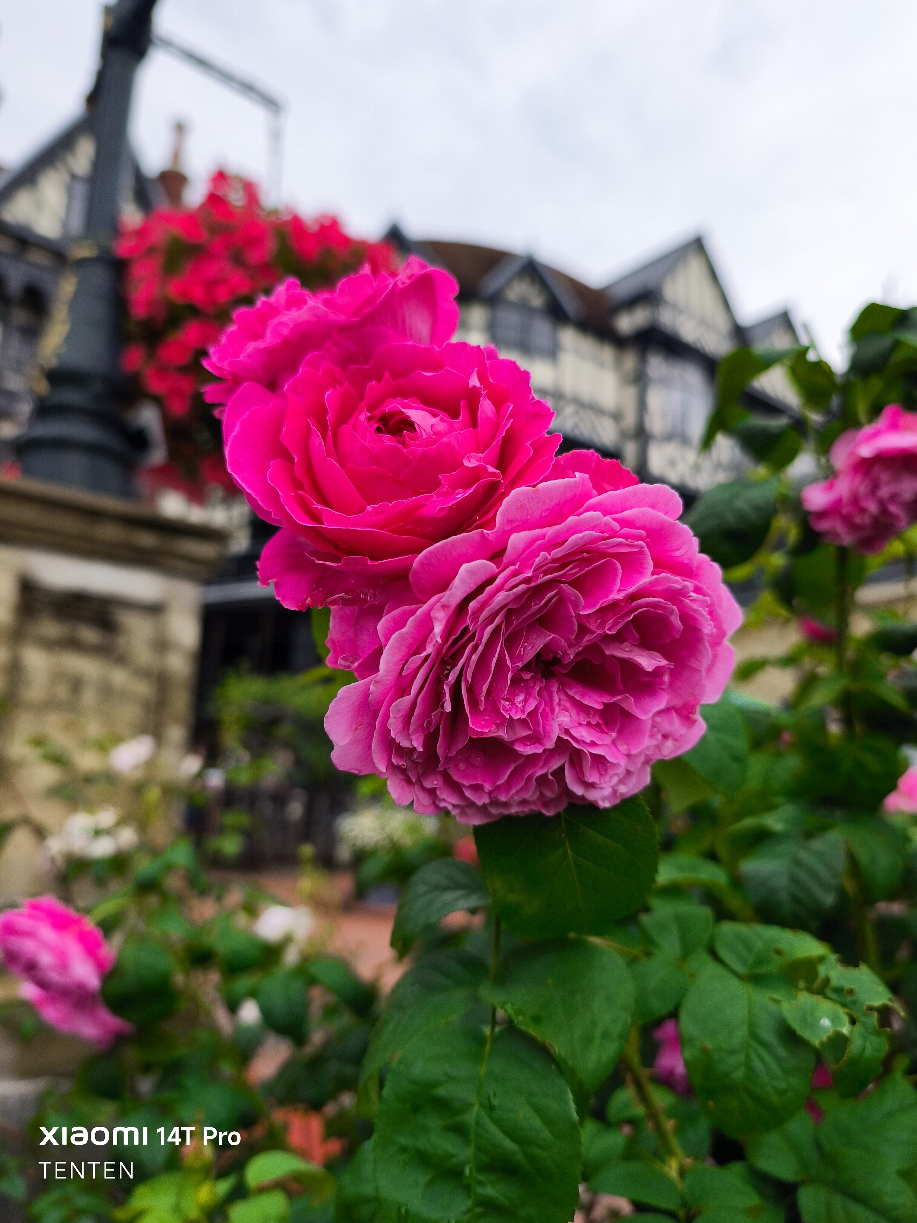 B＆G◆バレリーナ ２点◆希少 デンマーク 北欧 ビングオーグレンダー B＆G◇バレリーナ 2点◇希少 デンマーク 北欧 ビングオーグレンダー