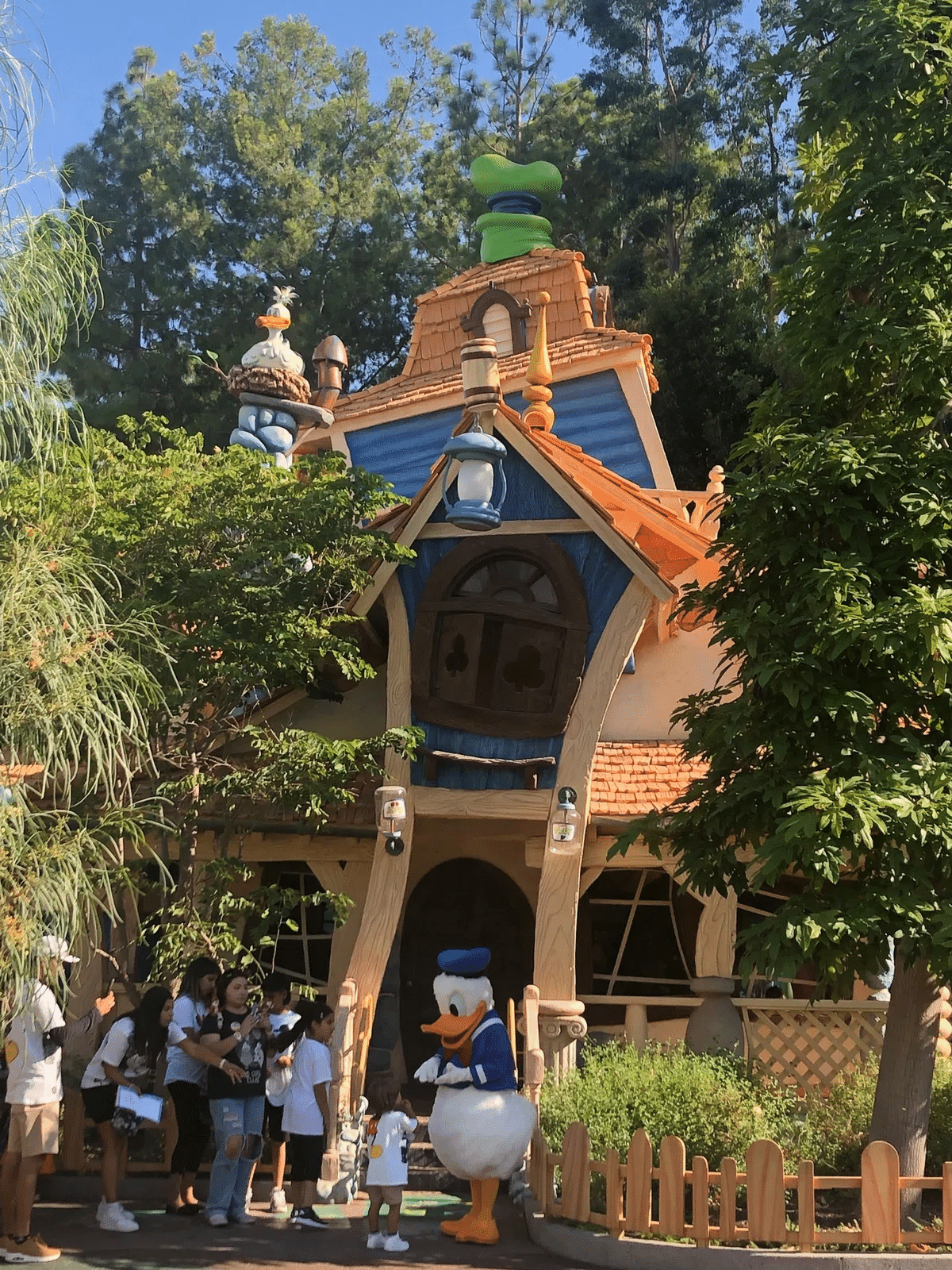 ディズニー トゥーンタウン ハンチング ディズニー トゥーンタウン ハンチング