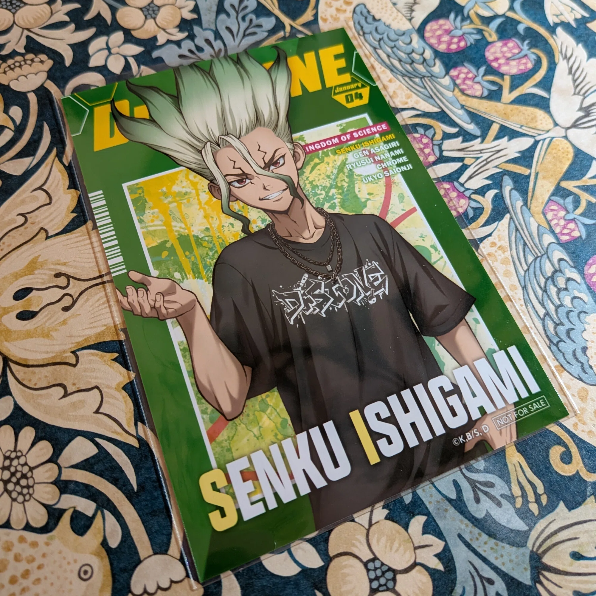 Dr.STONE』×『WALLMA SIBUYA109』またも荒波に揉まれつつ参戦 