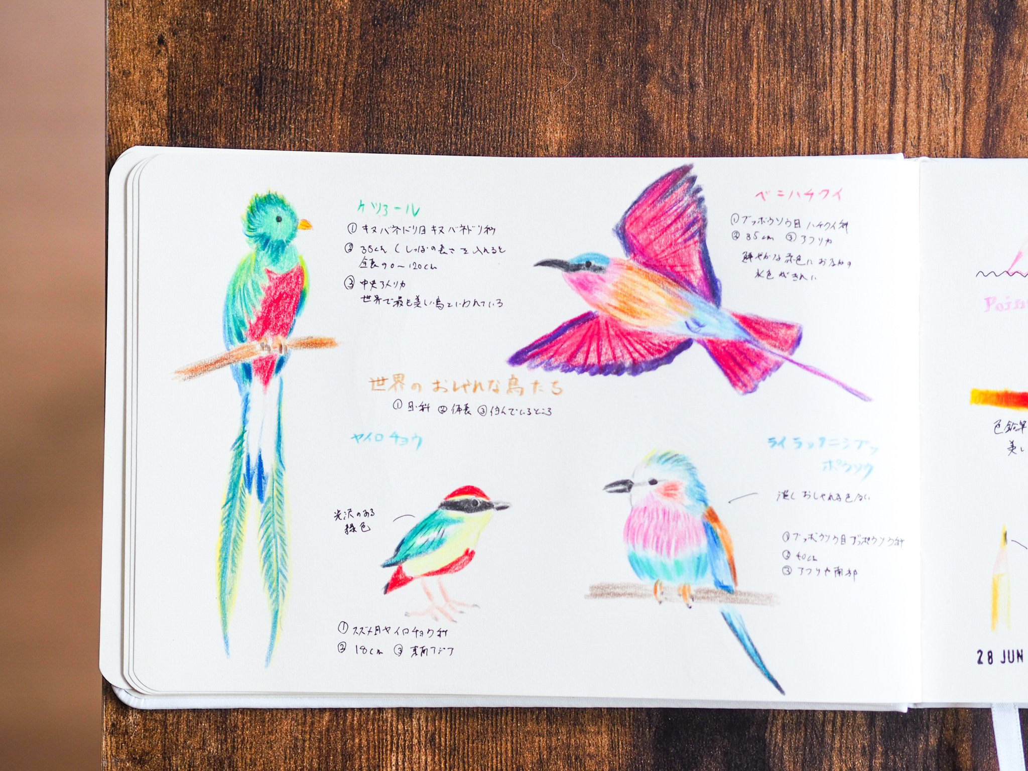 自分を「可愛い絵が描ける自分」に成長させることにした｜きのっこ