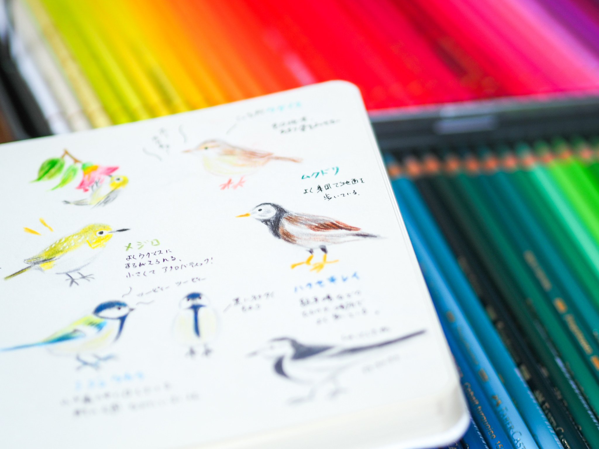 自分を「可愛い絵が描ける自分」に成長させることにした｜きのっこ