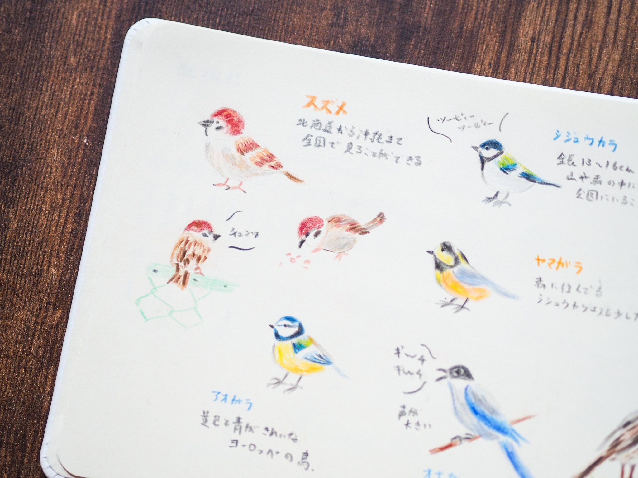 自分を「可愛い絵が描ける自分」に成長させることにした｜きのっこ