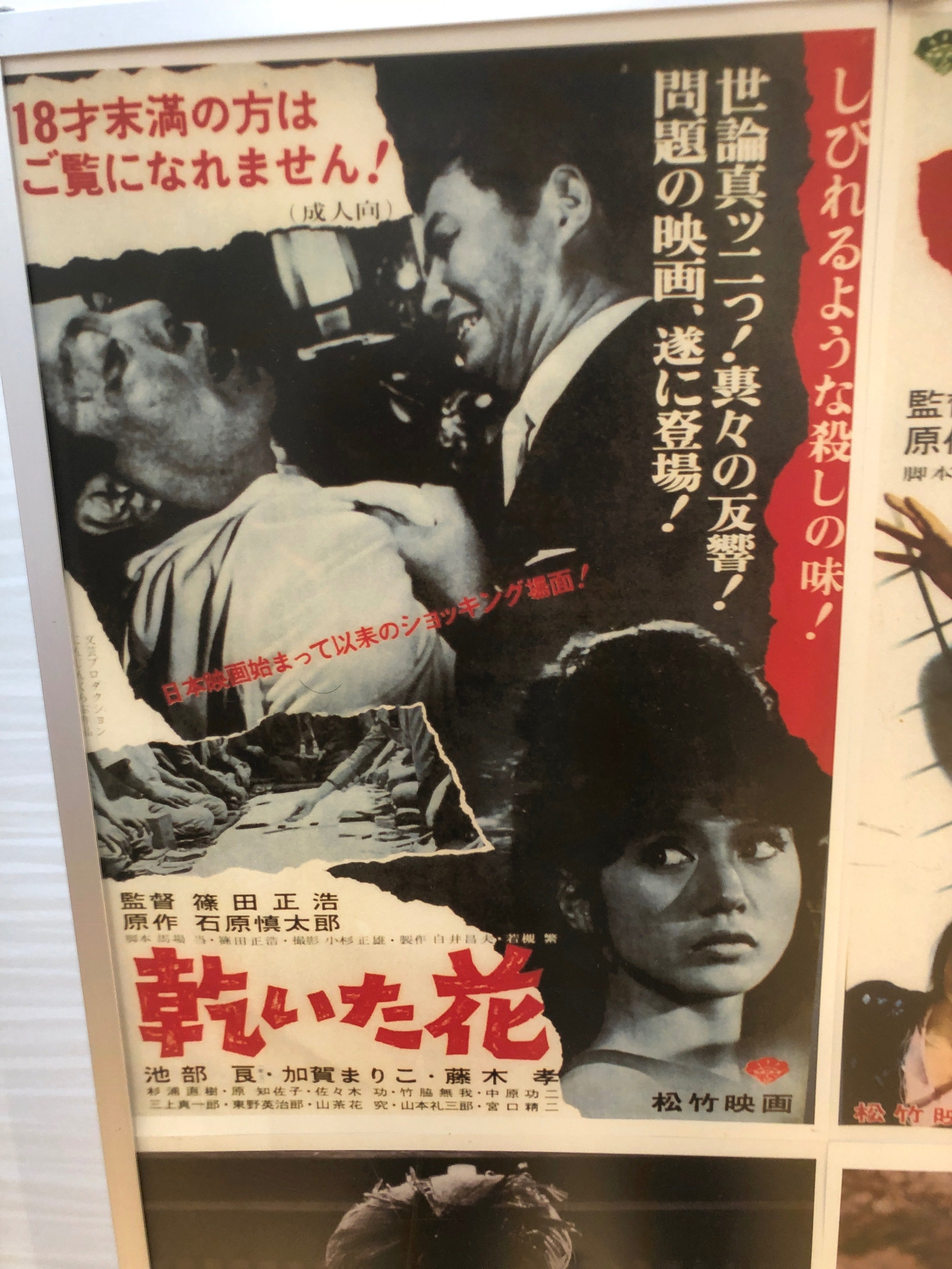篠田正浩作品は、そんなに好きってワケではないけど、流石に