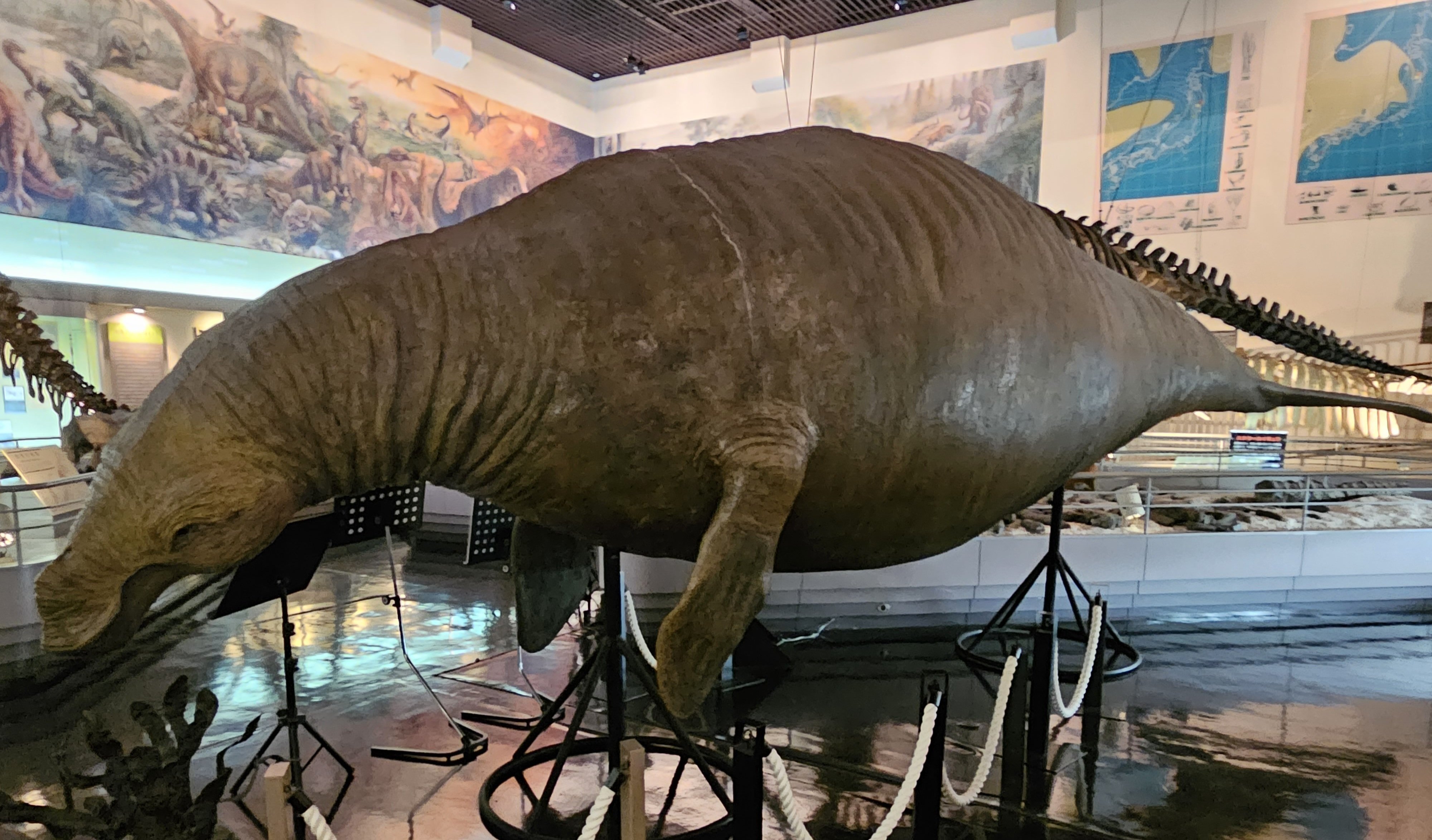 The Lost Universe 古代の巨大カイギュウ④巨大ヒドロダマリス