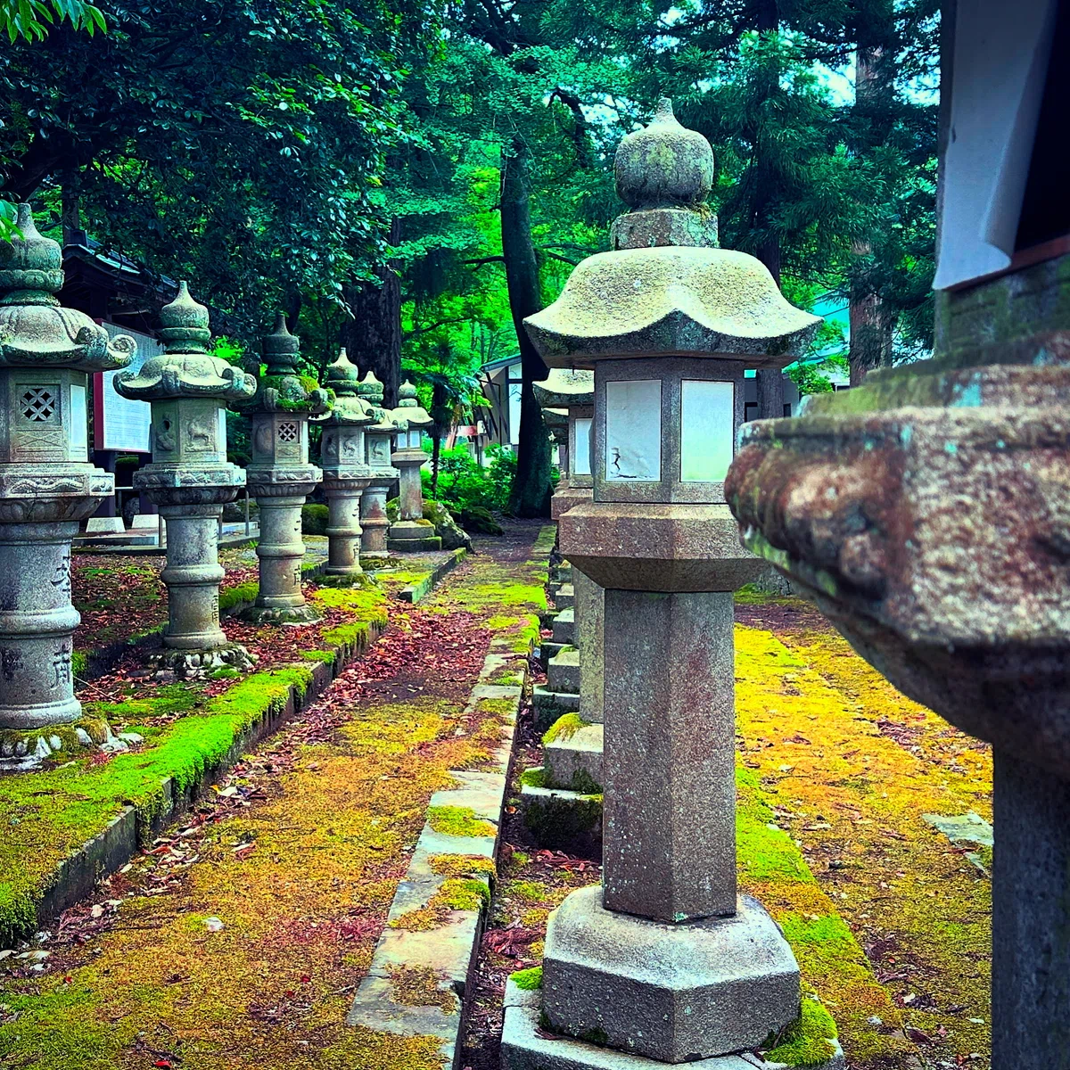唯一「紙の神」を祀る神社｜姚遠_東京流行通訊