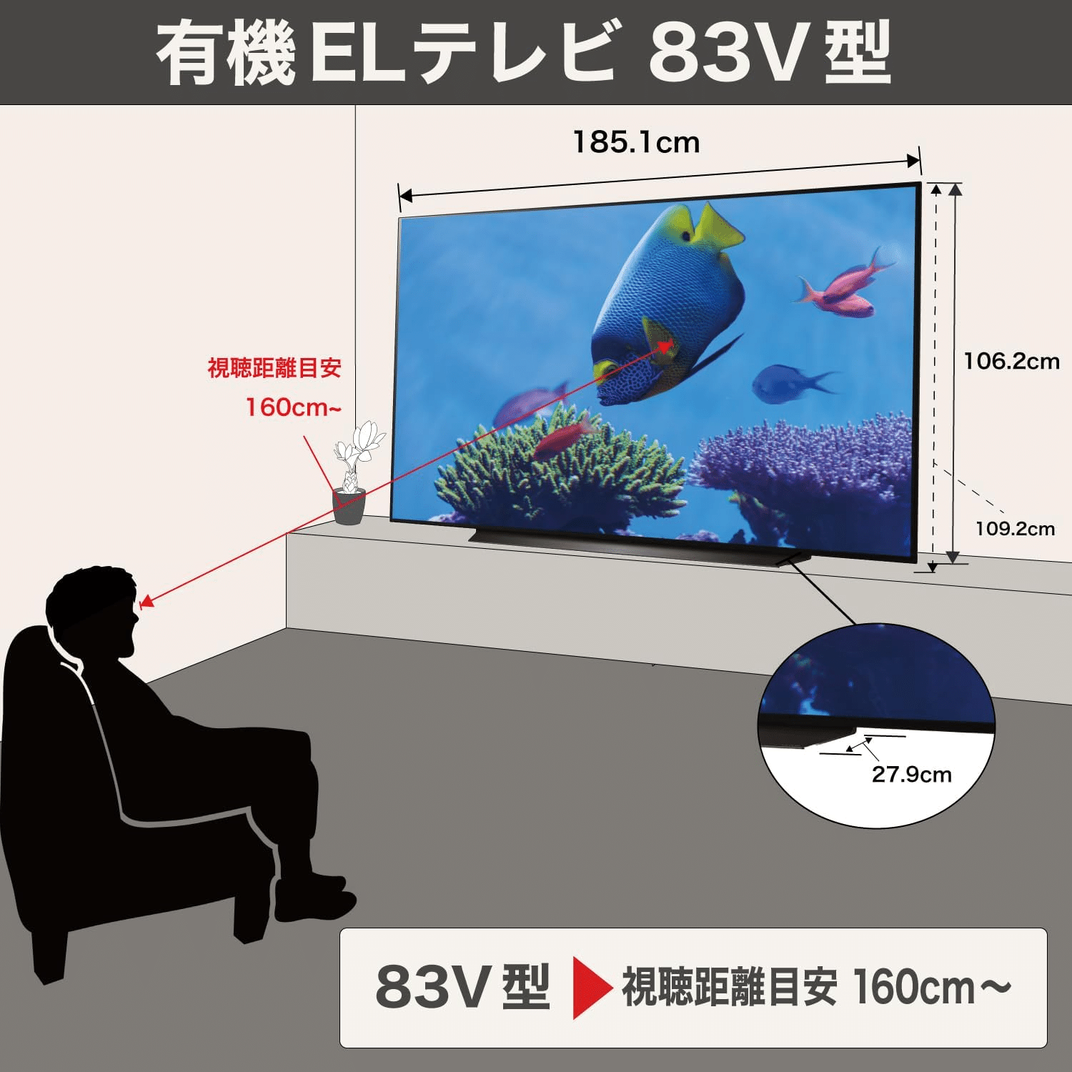 LG有機ELテレビ OLED83C4PJA 83V型 4K対応｜GetGadgetGot