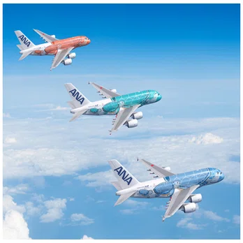 空を飛ぶウミガメ！？ANAの“フライング・ホヌ”を紹介します