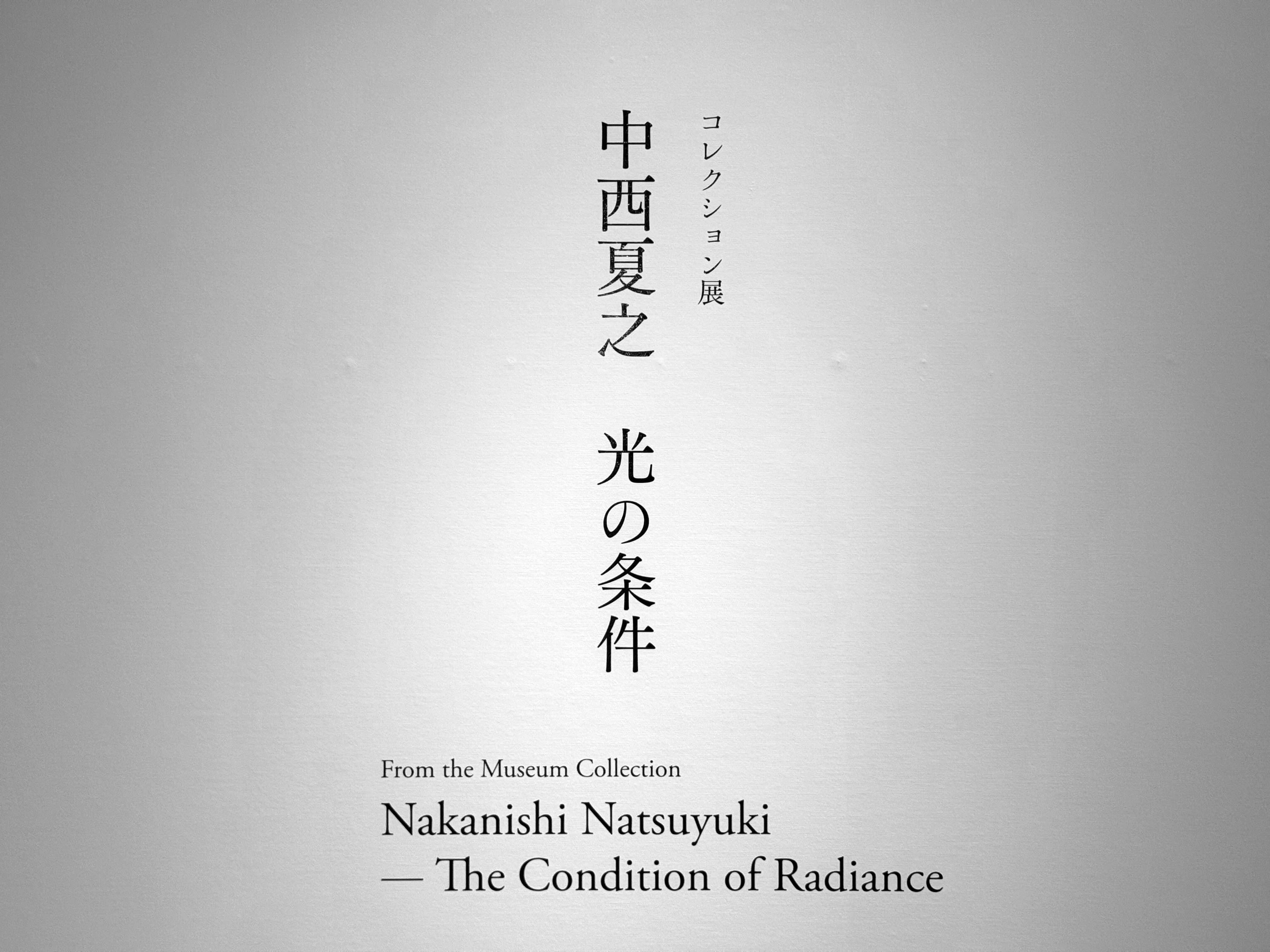 中西夏之展Painting1980-85 北九州市立美術館※表面ヤケ、ヨゴレ。 中西夏之展Painting1980-85 北九州市立美術館※表面ヤケ、ヨゴレ
