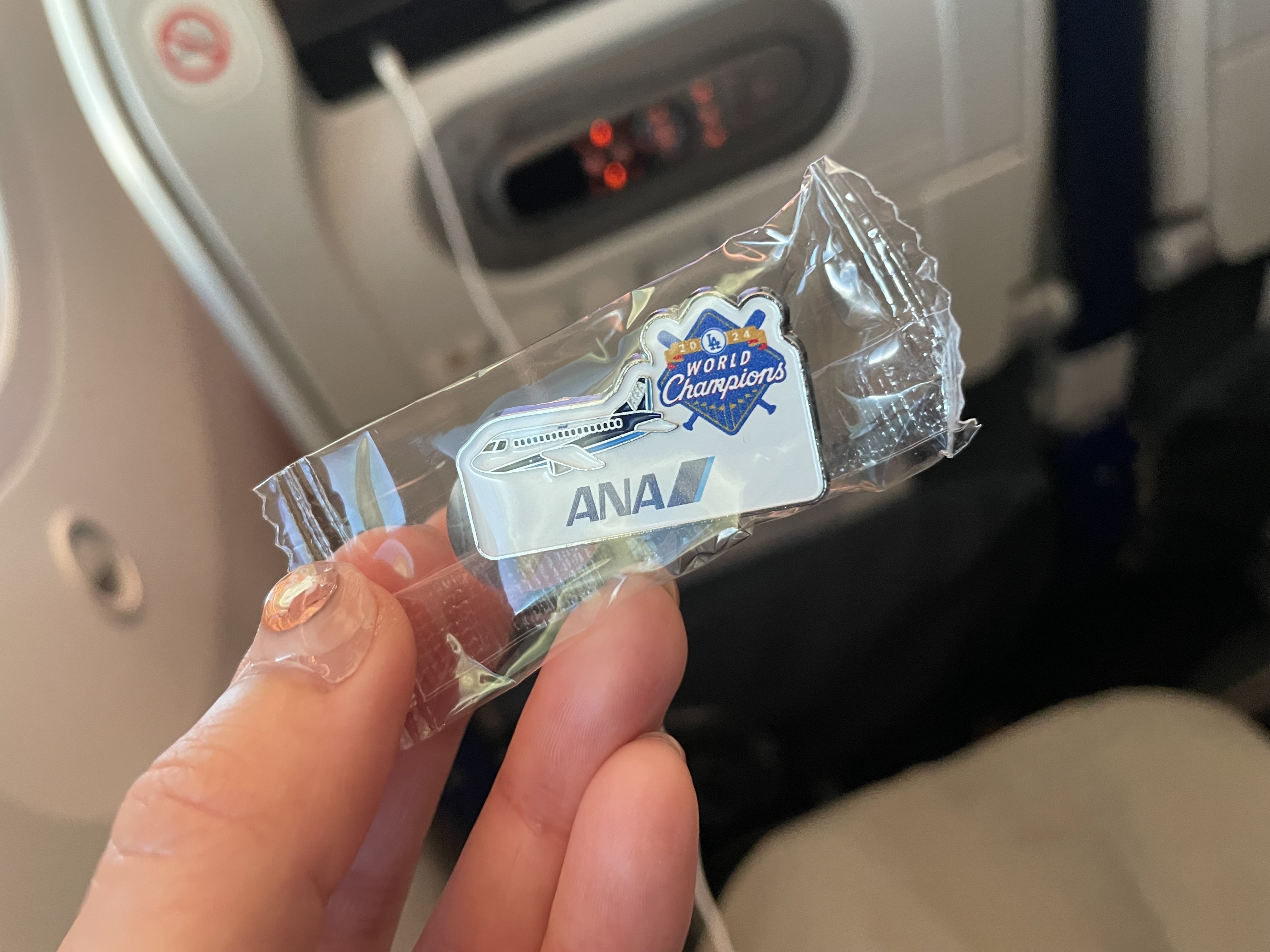 本帰国】手荷物に入れずに失敗したもの | 駐在妻の極意～帰国