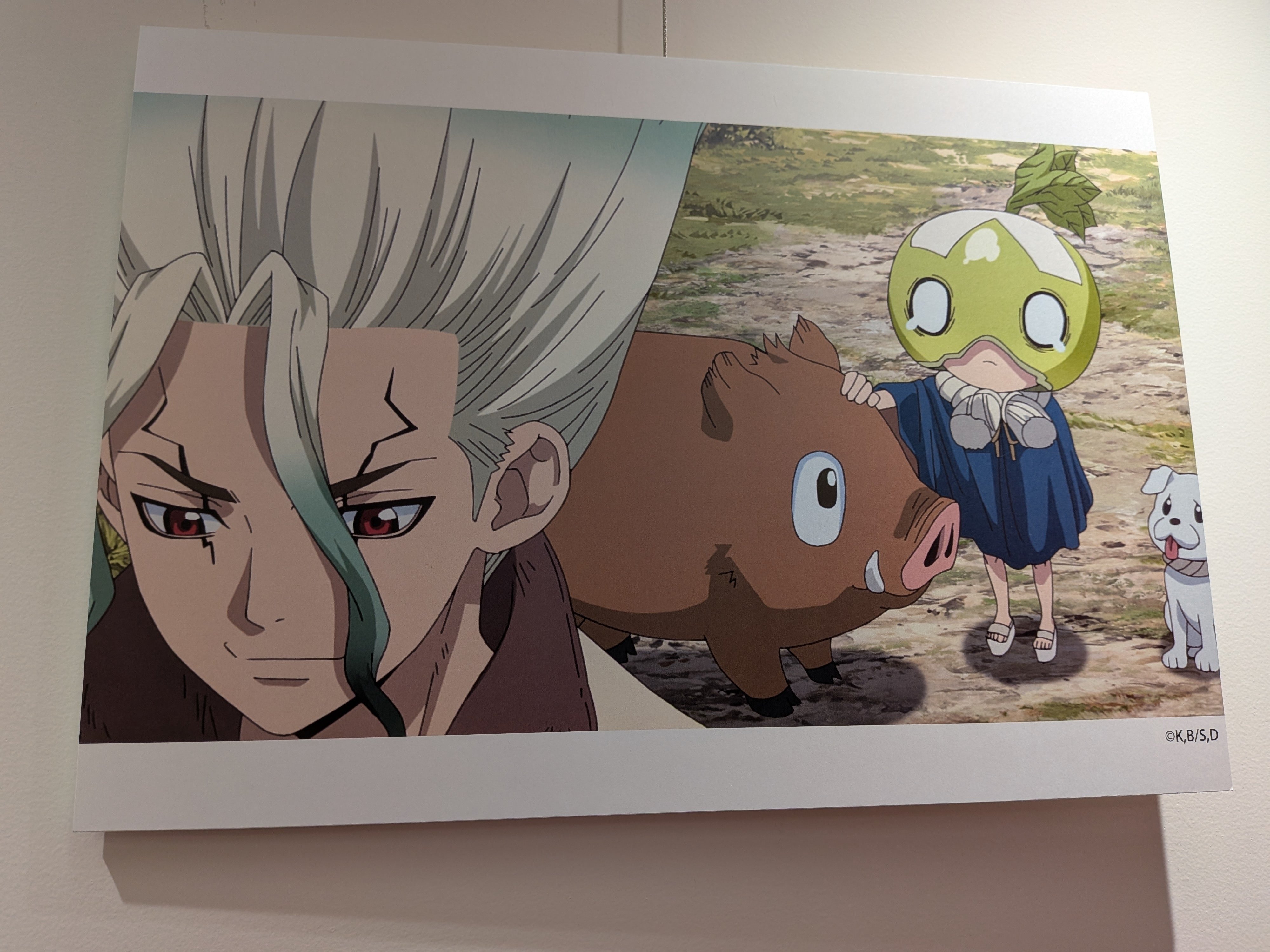 Dr.STONE アニメイトカフェ コロッタ CoLotta 五知将 Dr.STONE