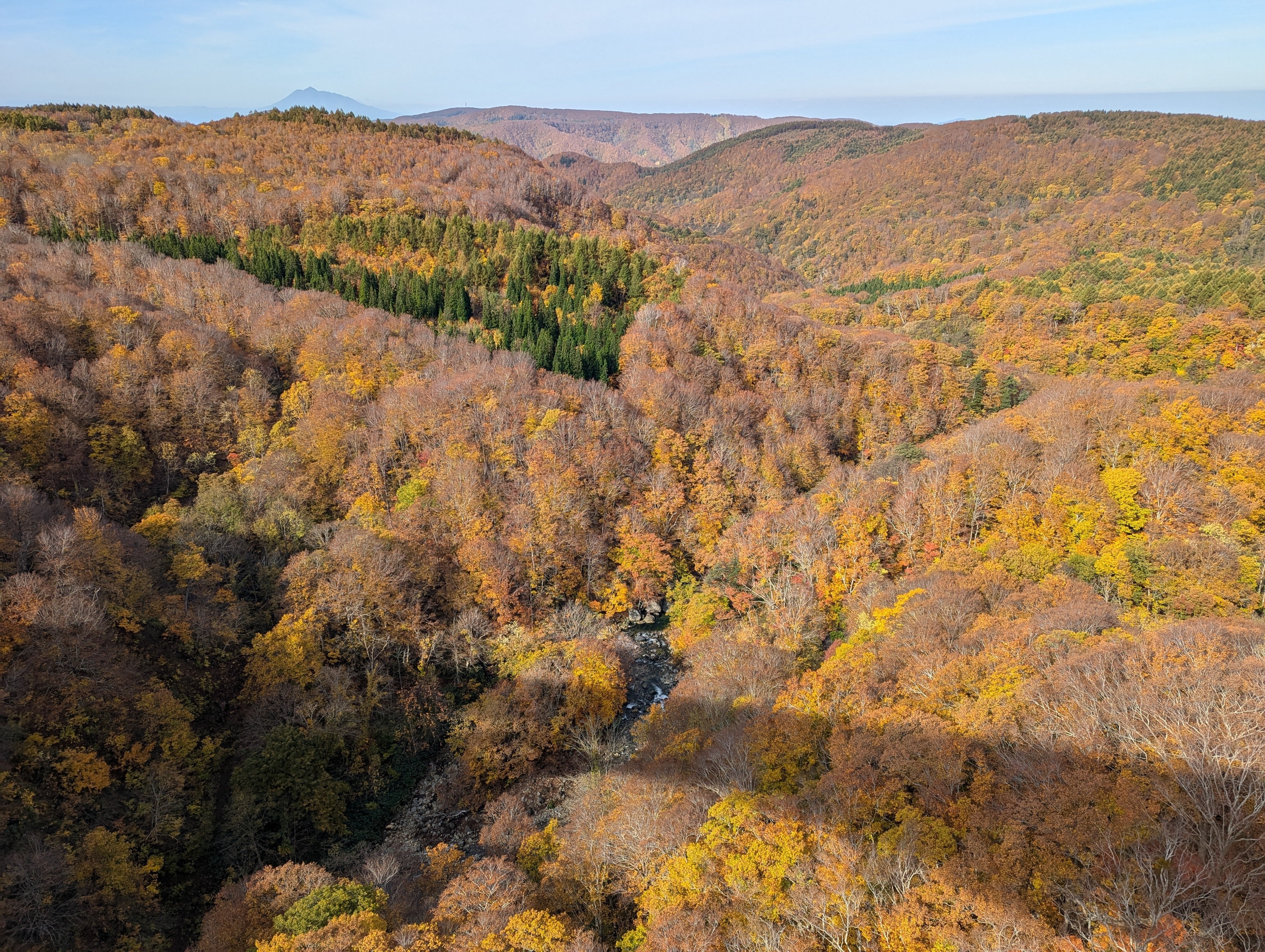 旅行記 ／ 奥入瀬・八甲田 錦秋の青森で紅葉を鑑賞 (2024/10)｜猫山