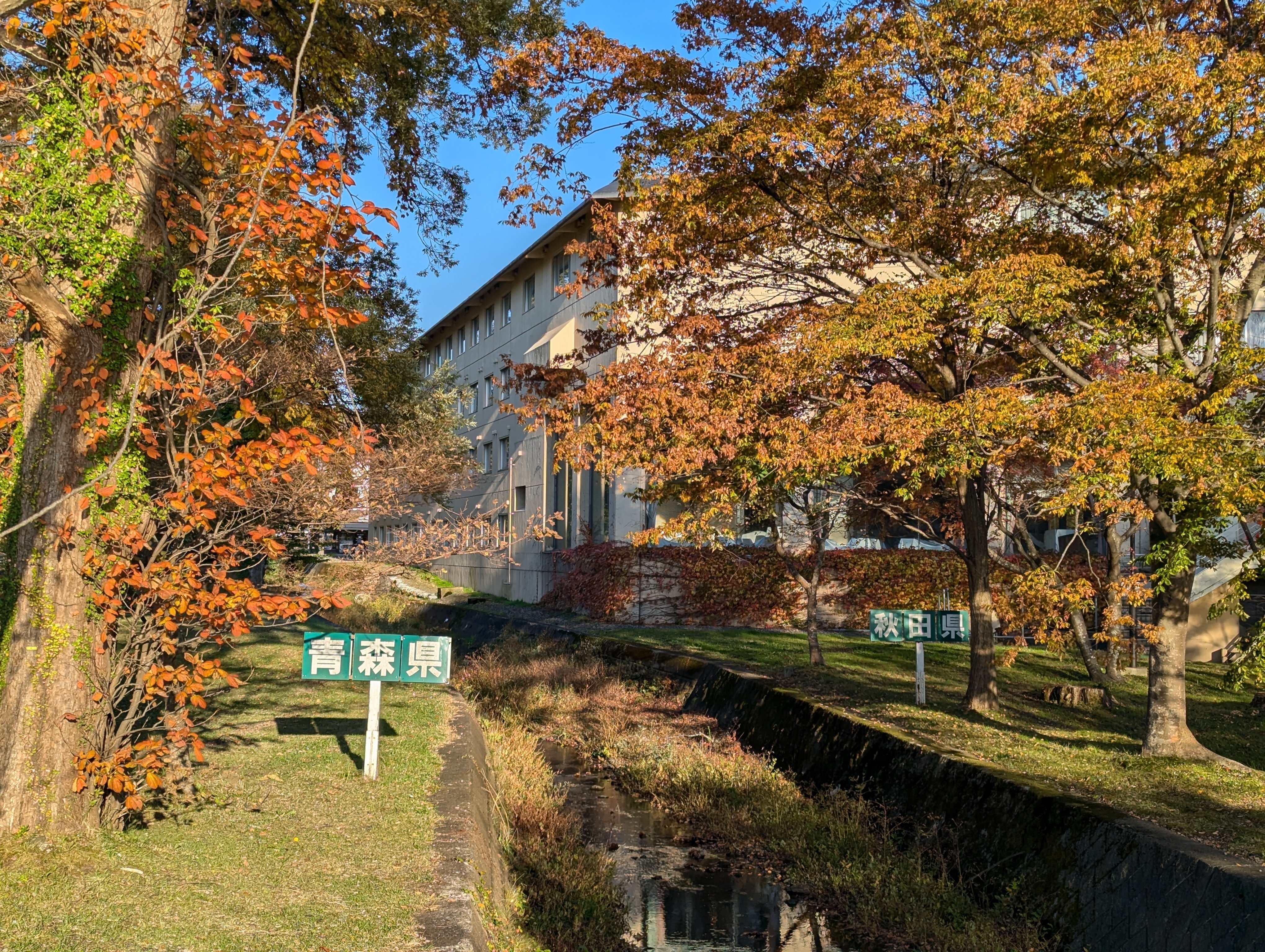 旅行記 ／ 奥入瀬・八甲田 錦秋の青森で紅葉を鑑賞 (2024/10)｜猫山