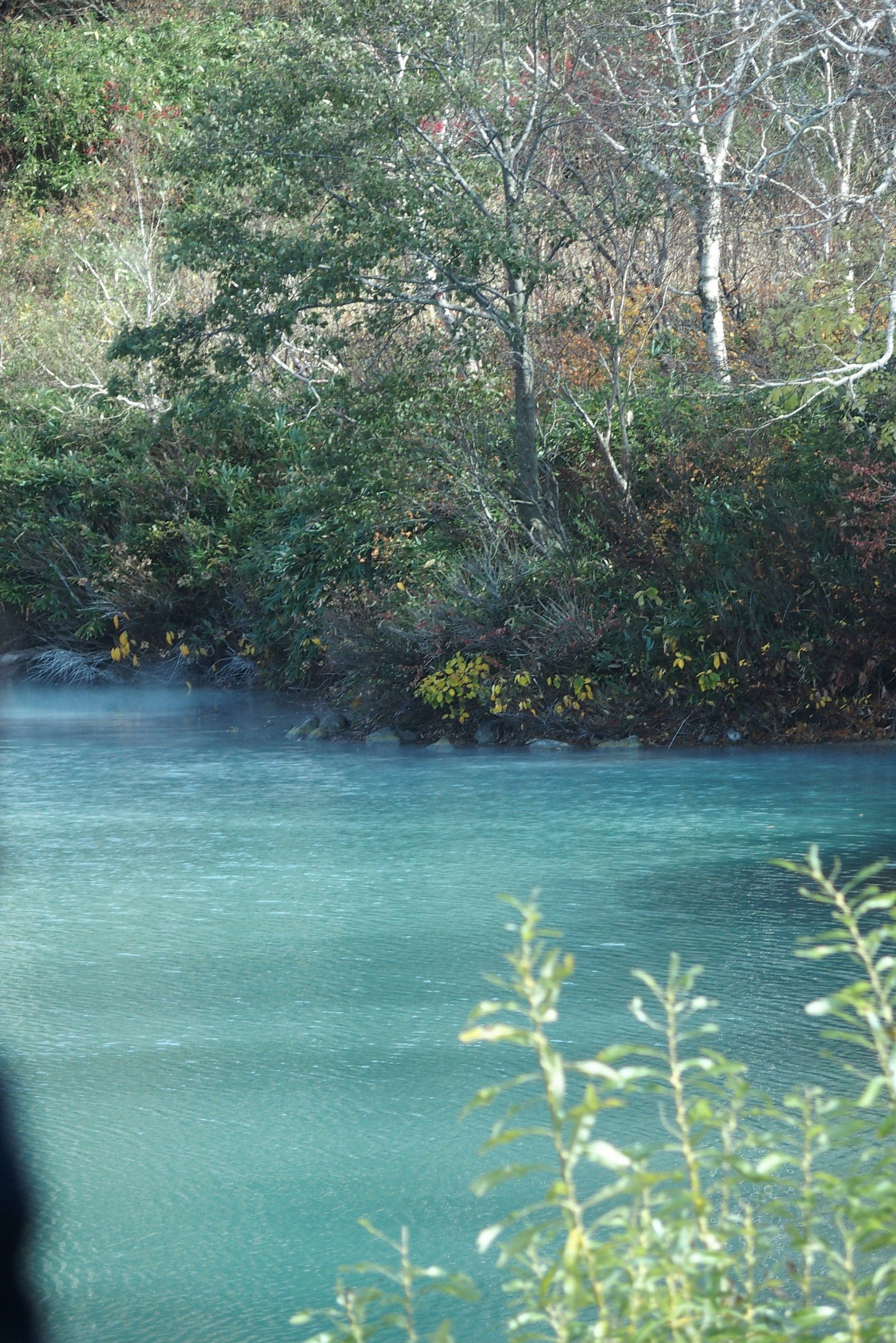 旅行記 ／ 奥入瀬・八甲田 錦秋の青森で紅葉を鑑賞 (2024/10)｜猫山