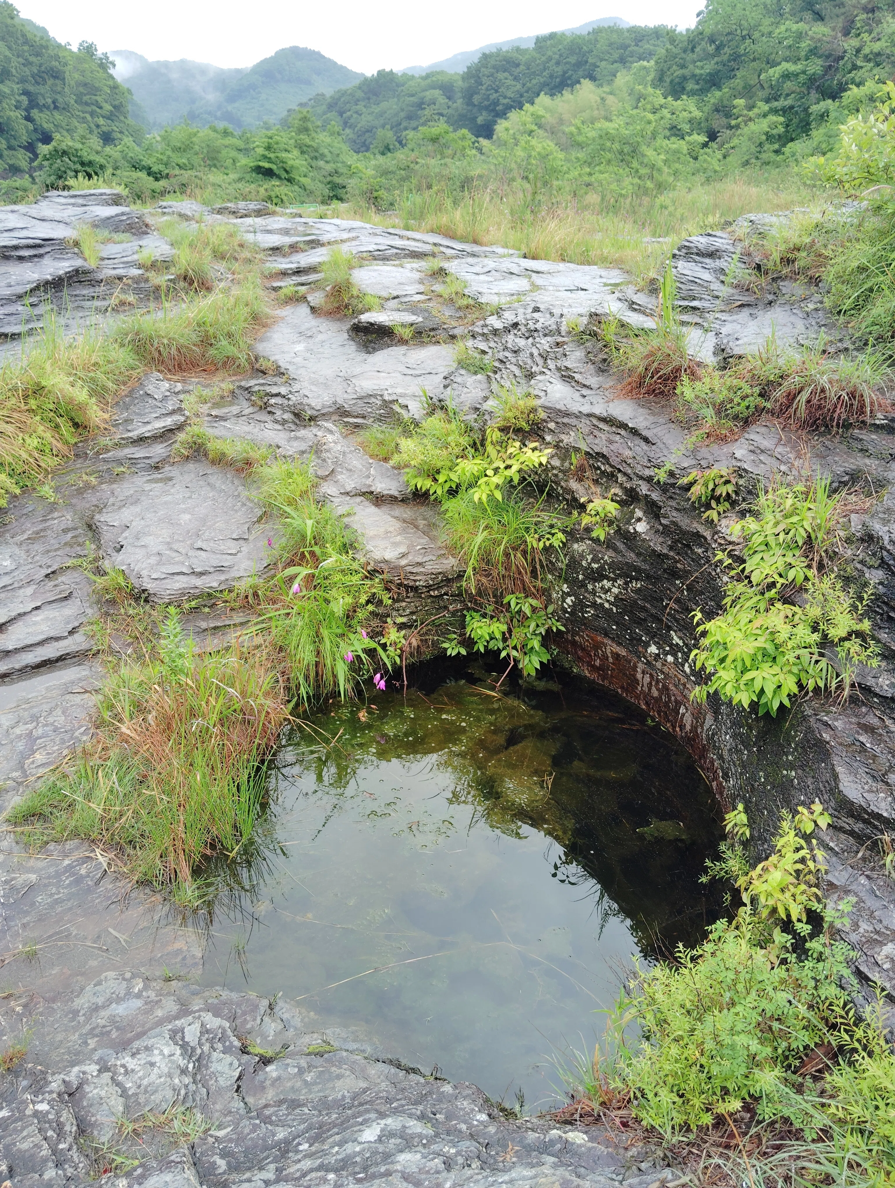 長瀞渓谷の岩畳を歩いて、埼玉県立自然の博物館へ｜くぬぎ