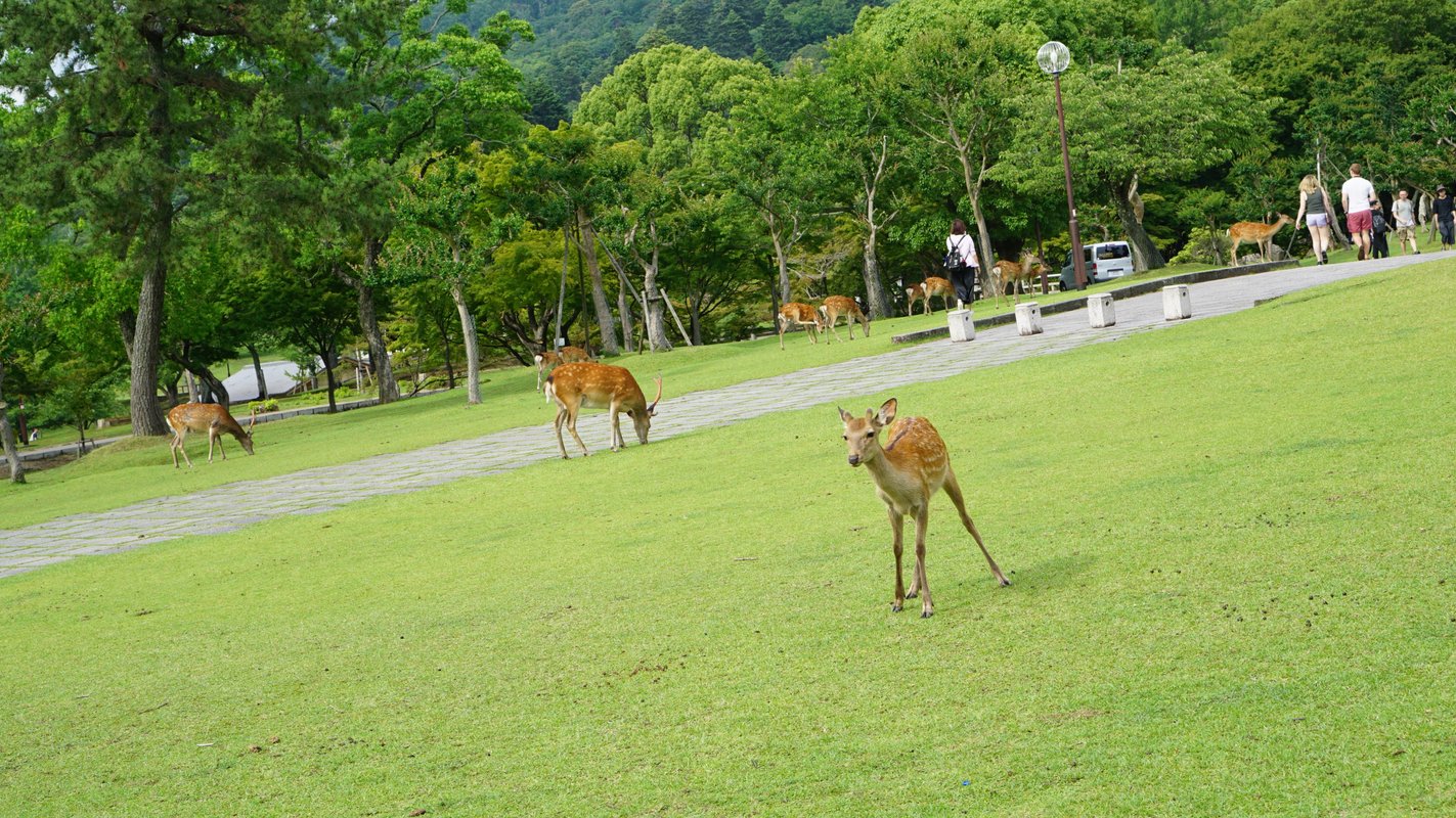 フォトギャラリーの写真