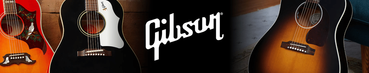 コラム】ギブソン・ハミングバードとダヴの違いについて（知って