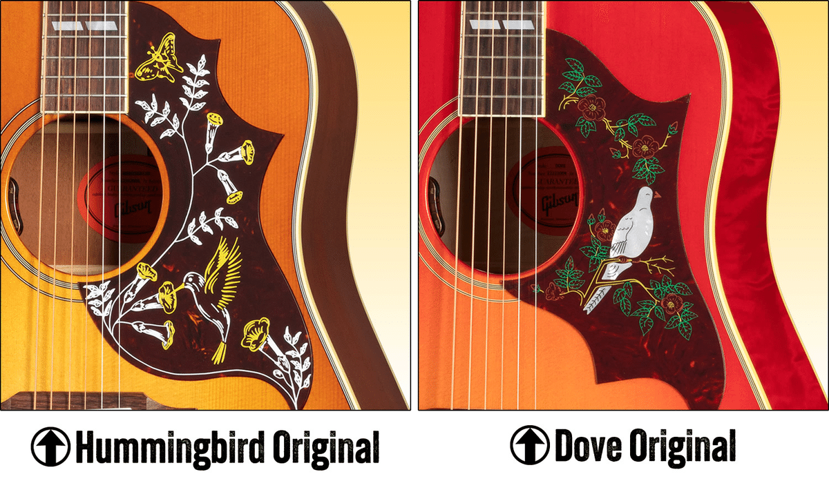  バード　 Dove コラム】ギブソン・ハミングバードとダヴの違いについて（知って