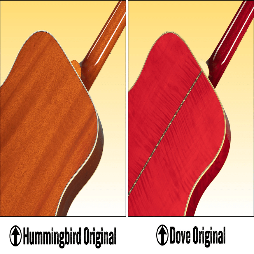 コラム】ギブソン・ハミングバードとダヴの違いについて（知ってて