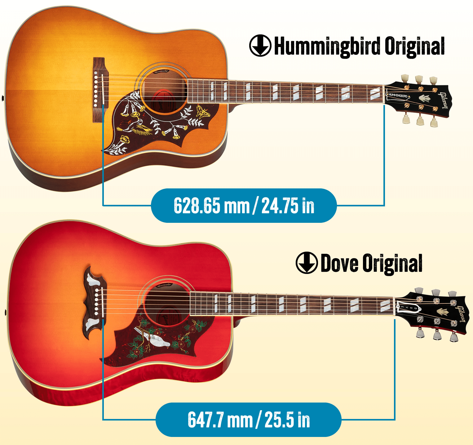 コラム】ギブソン・ハミングバードとダヴの違いについて（知ってて