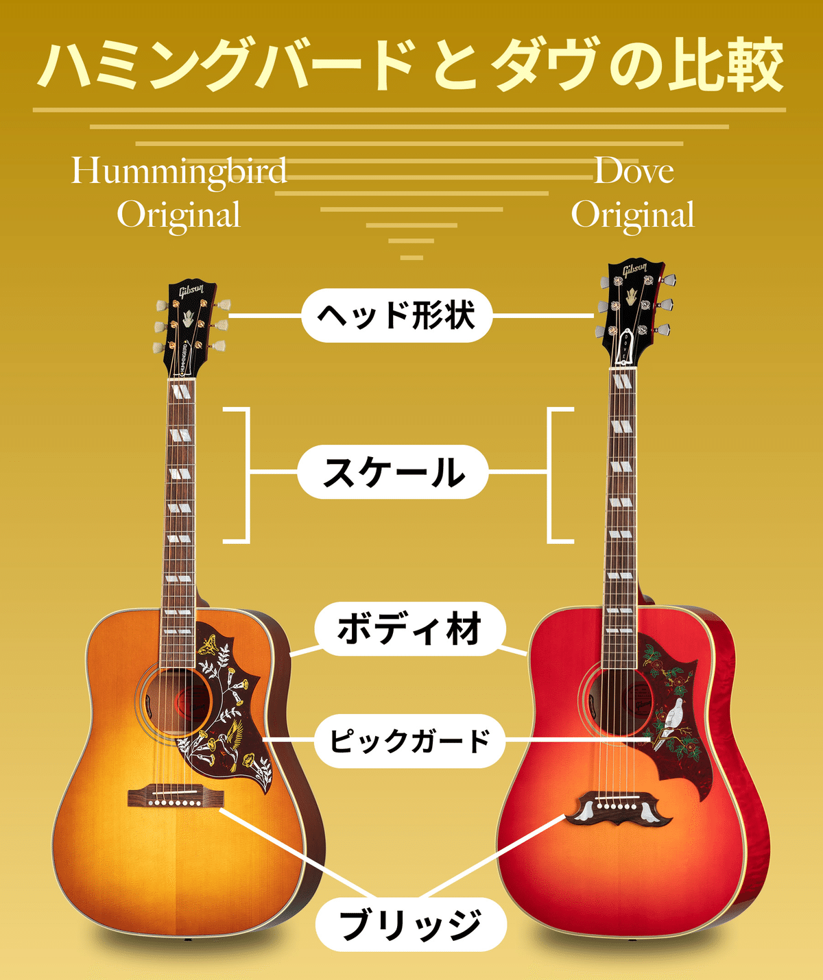 コラム】ギブソン・ハミングバードとダヴの違いについて（知って