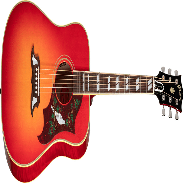 コラム】ギブソン・ハミングバードとダヴの違いについて（知ってて