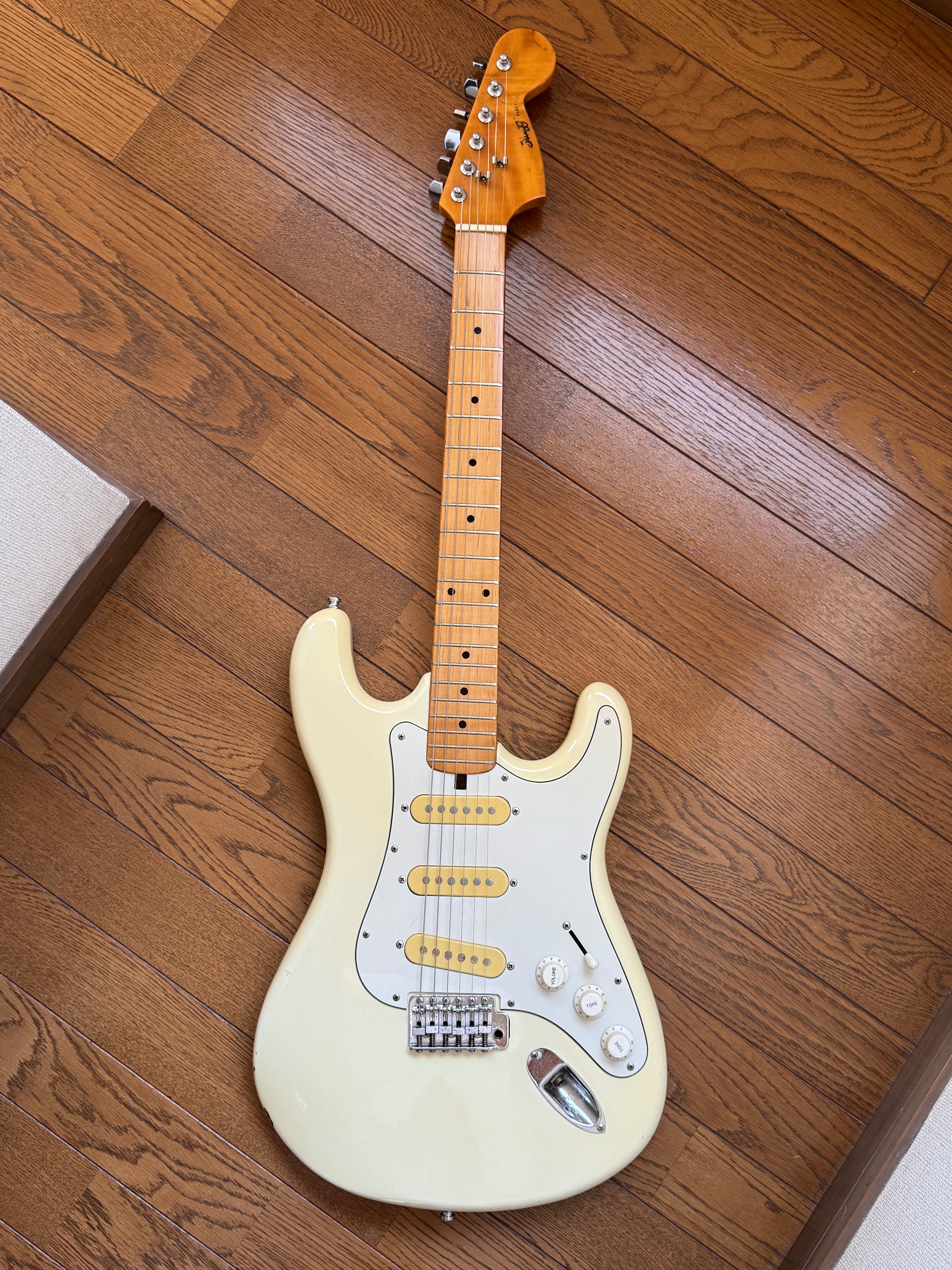 Zingg® ELECTRIC と 不思議なピックアップ｜まんぼう