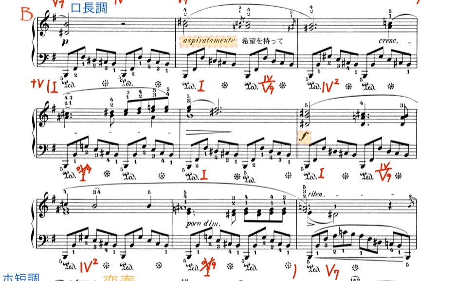 ノクターン第19番 楽曲解説｜Ryo Sasaki
