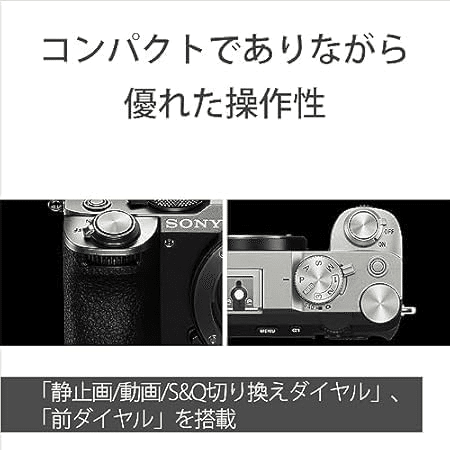 SONY α7cii ボディ故障品 液晶バグ？よくある事でしょうか？』 SONY