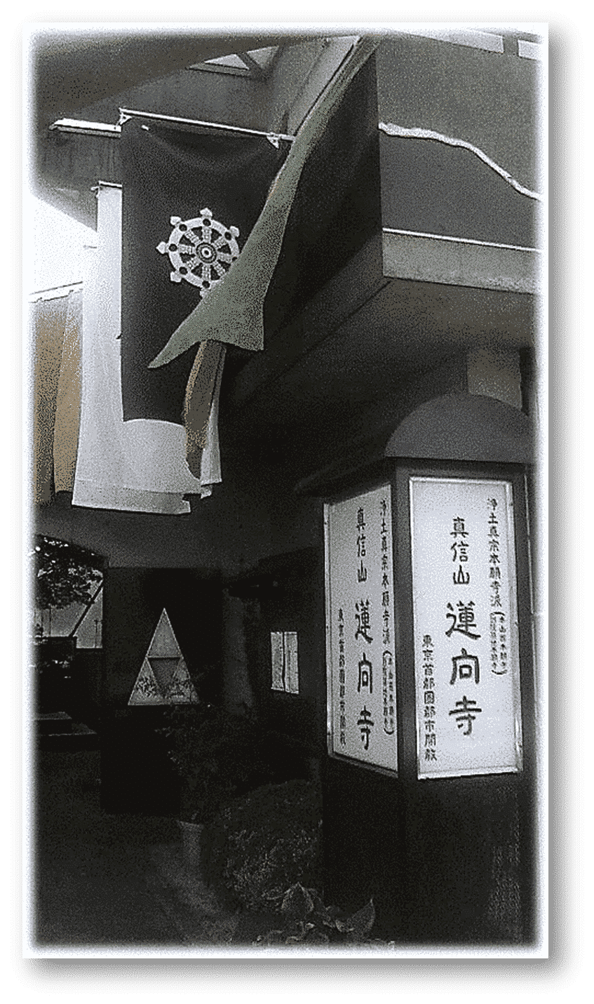 21世紀の量子福音書 〜 人工超知能時代の立宗宣言 21世紀の量子福音書 〜 人工超知能時代の立宗宣言