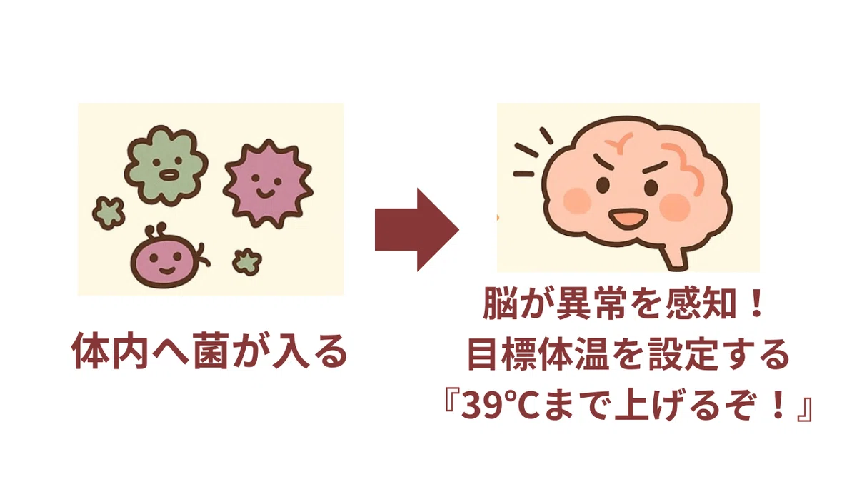 悪寒による震え(シバリング)と熱性けいれんの違いは?!簡単解説! |ちゃこまま/看護師