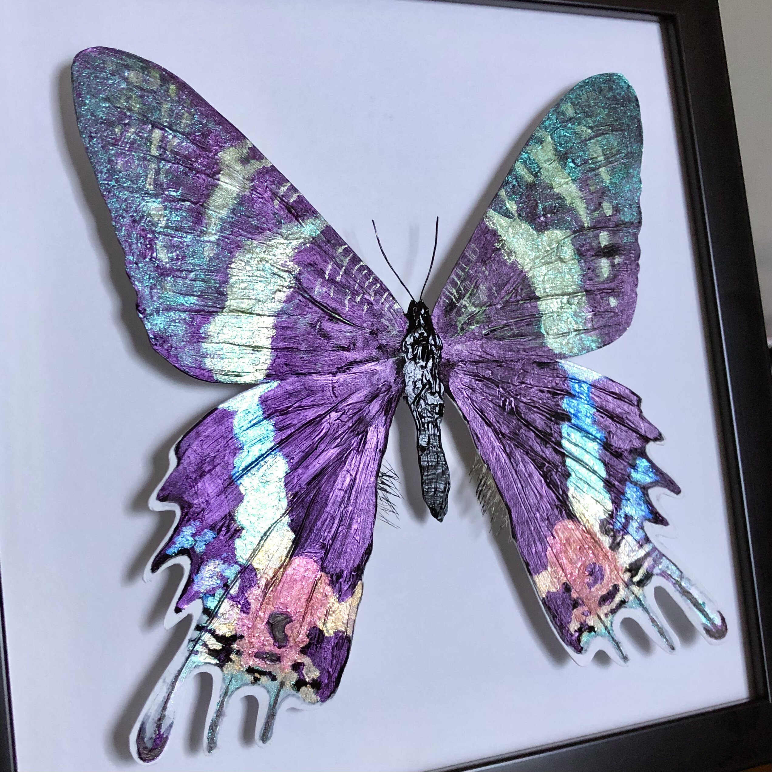 宣伝】ニシキオオツバメガのオブジェ（自作）｜ものすごく綺麗な翅を
