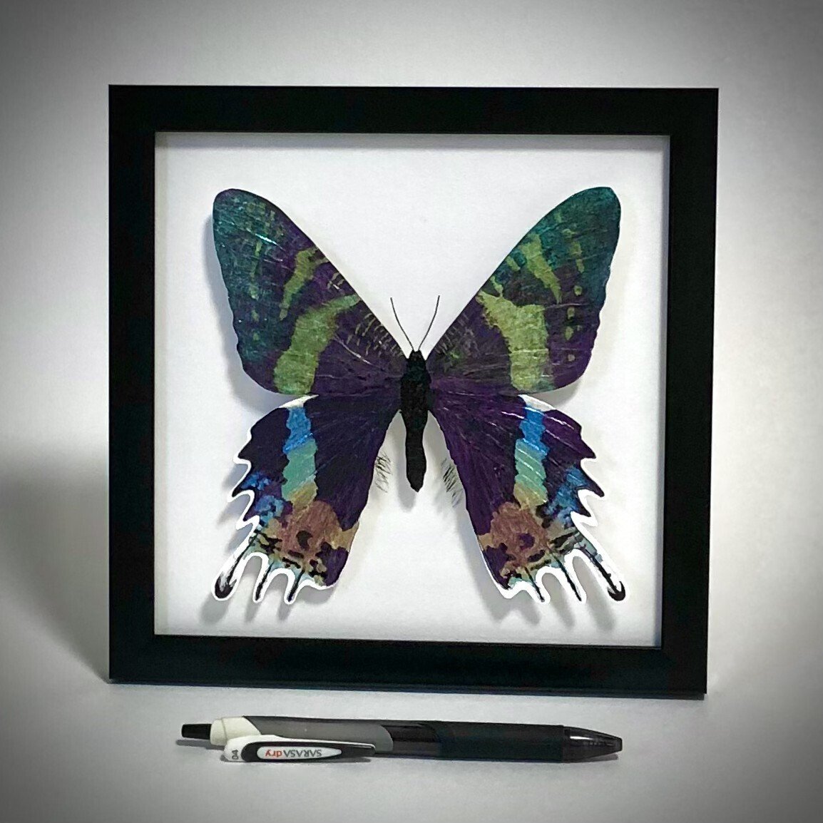 宣伝】ニシキオオツバメガのオブジェ（自作）｜ものすごく綺麗な翅を