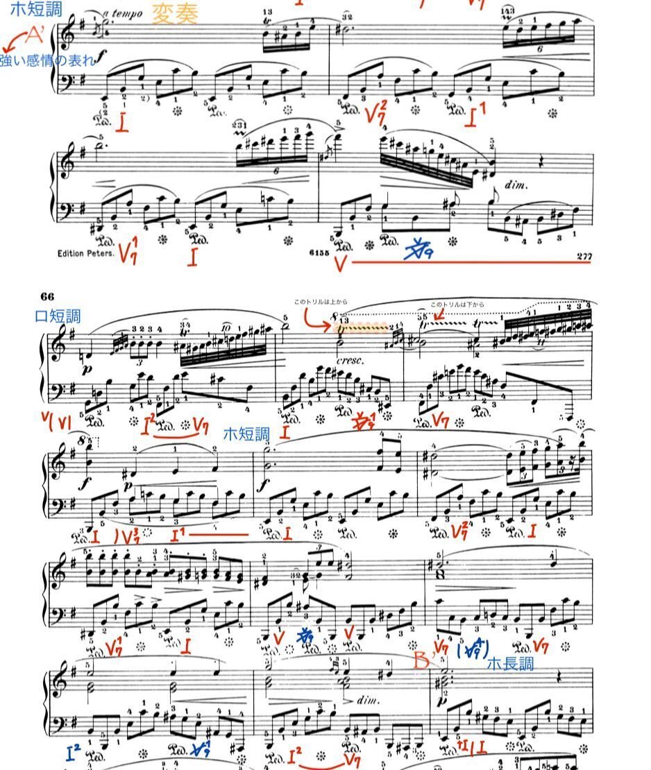 作品名：カシニョール、ノックターン ノクターン第19番 楽曲解説｜Ryo Sasaki