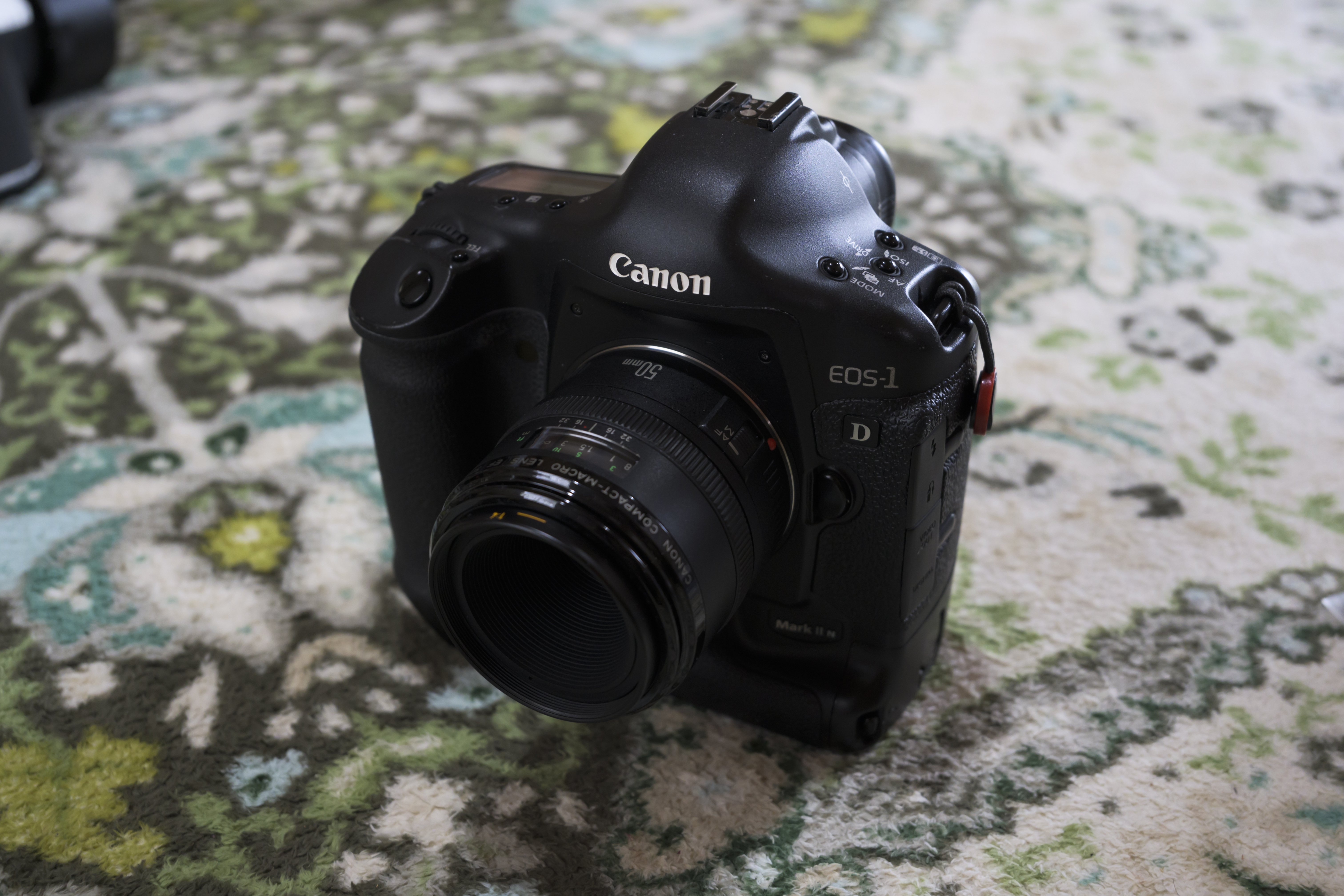 Canon 1D Mark II Nっていう豪華な遊び相手。｜sugarkrone