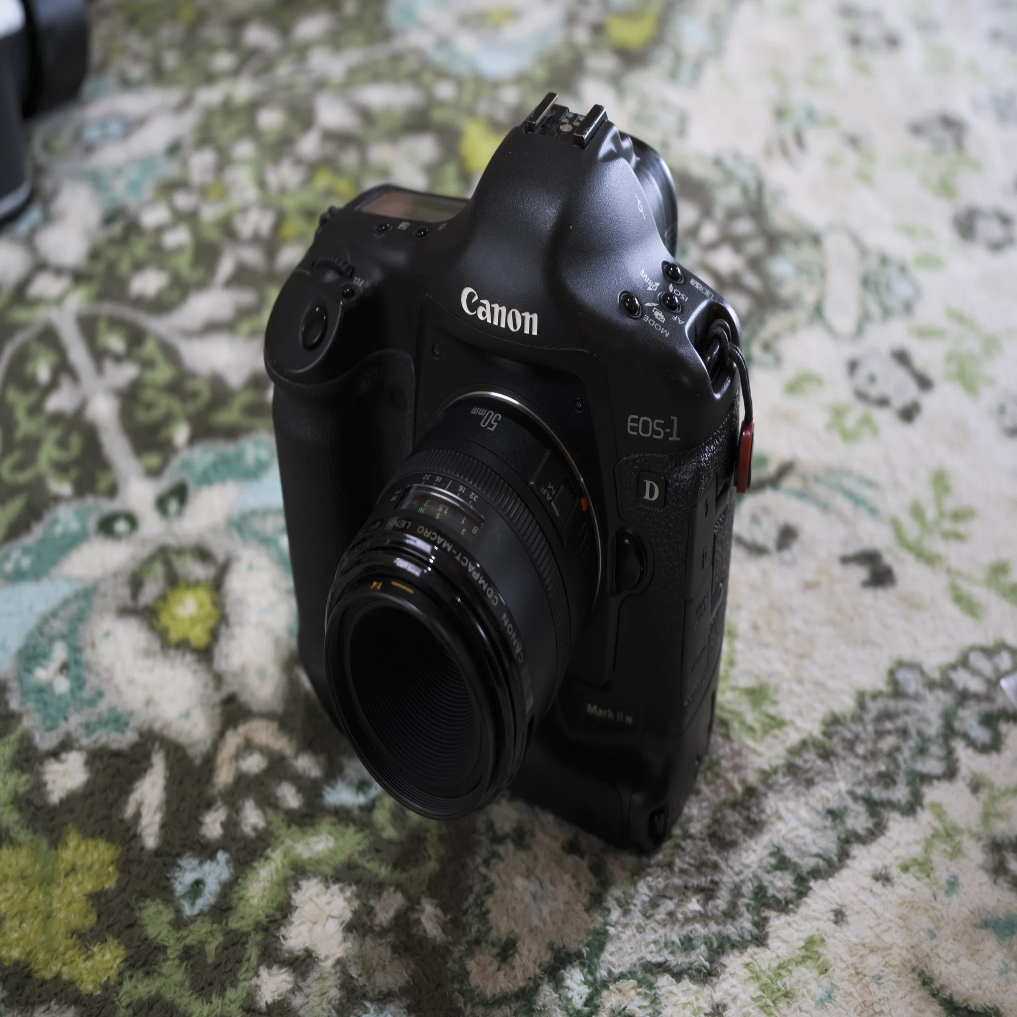 Canon 1D Mark II Nっていう豪華な遊び相手。｜sugarkrone