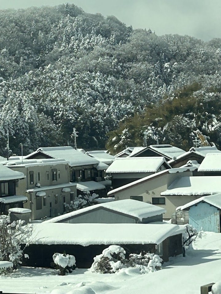熱帯高地の世界: 「高地文明」の発見に向けて Amazon.co.jp: 熱帯高地の世界: 「高地文明」の発見に向けて