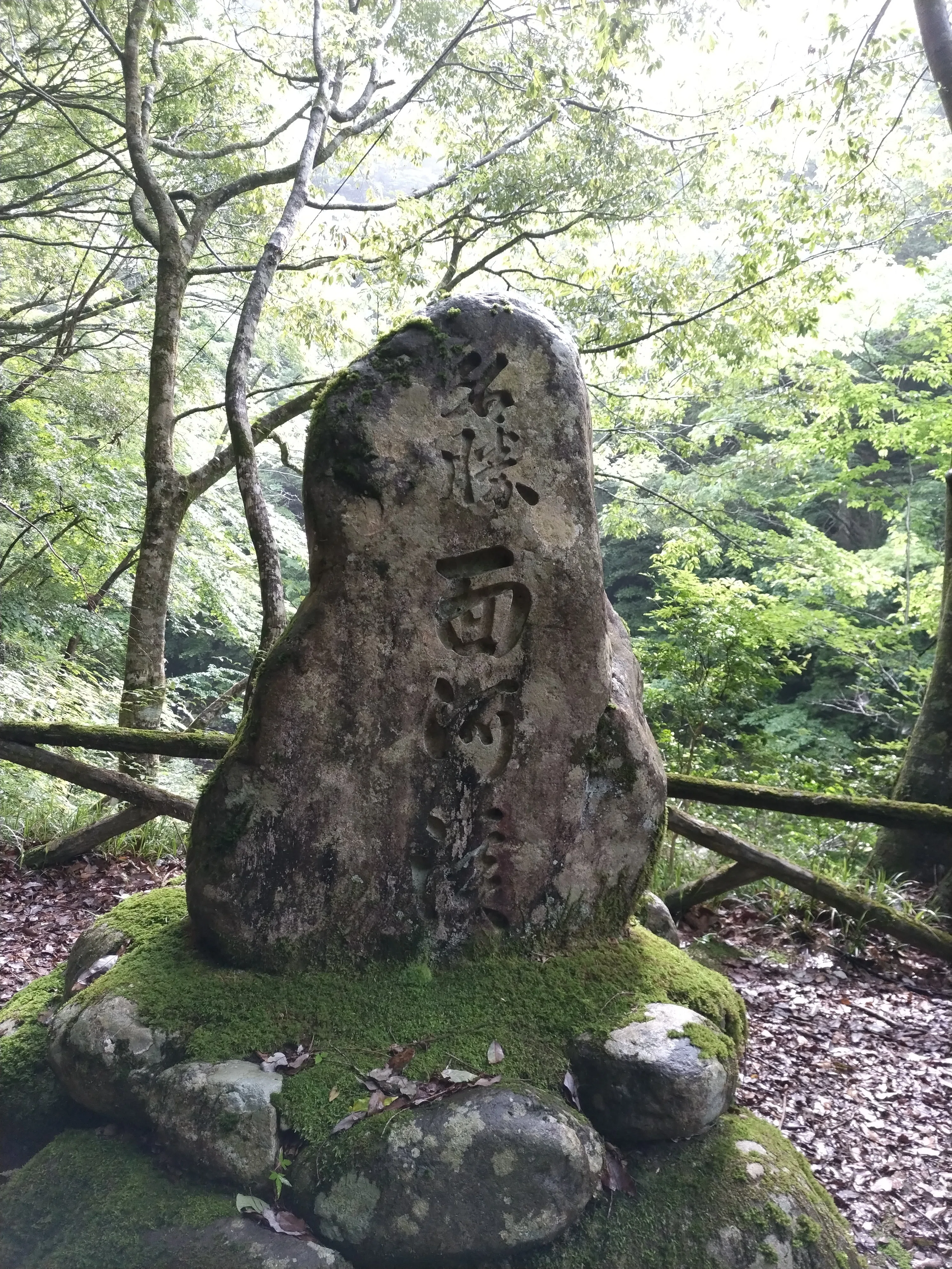 国内-002〕四国カルスト (Shikoku Karst,Japan)｜country hunter