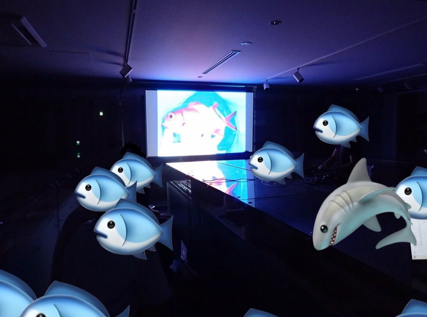 第4回サカナの写真を見せびらかす会🐟 開催！【6/25(水) 19:00～20:30