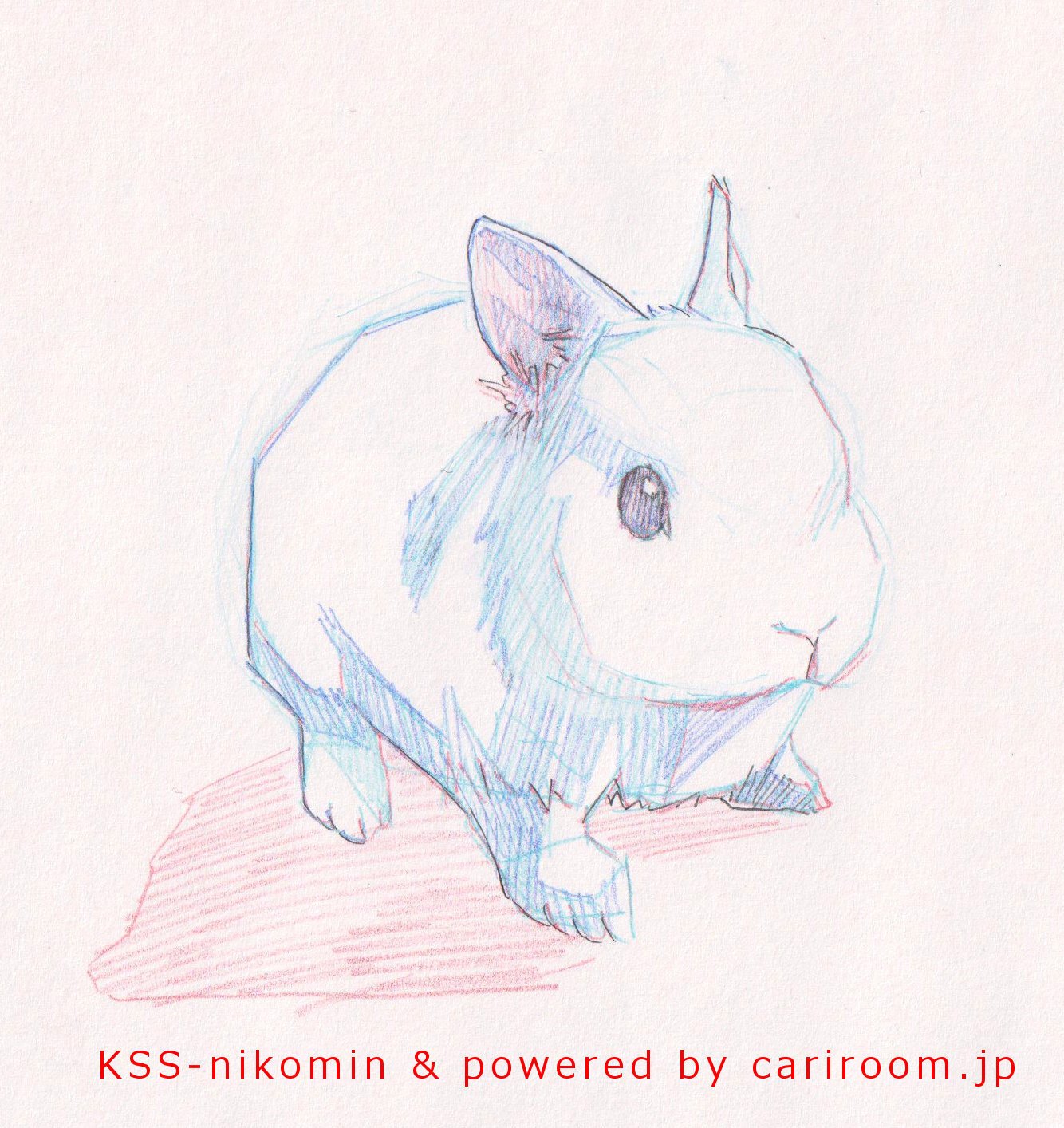 イラストオーダー＋ウサギフクロウミニ色紙