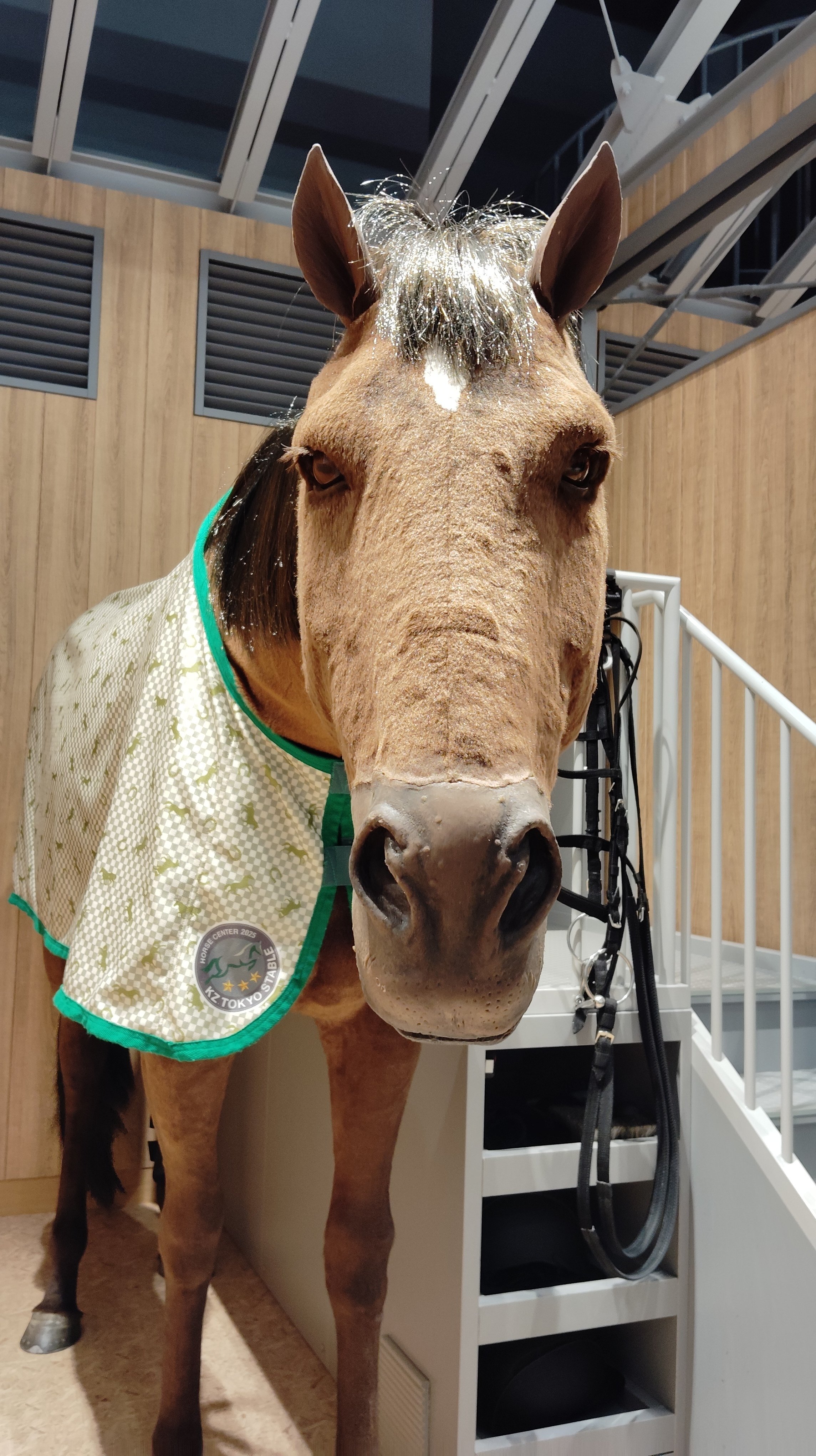 2025年6月某日 キッザニア記録（土曜2部）｜いつき